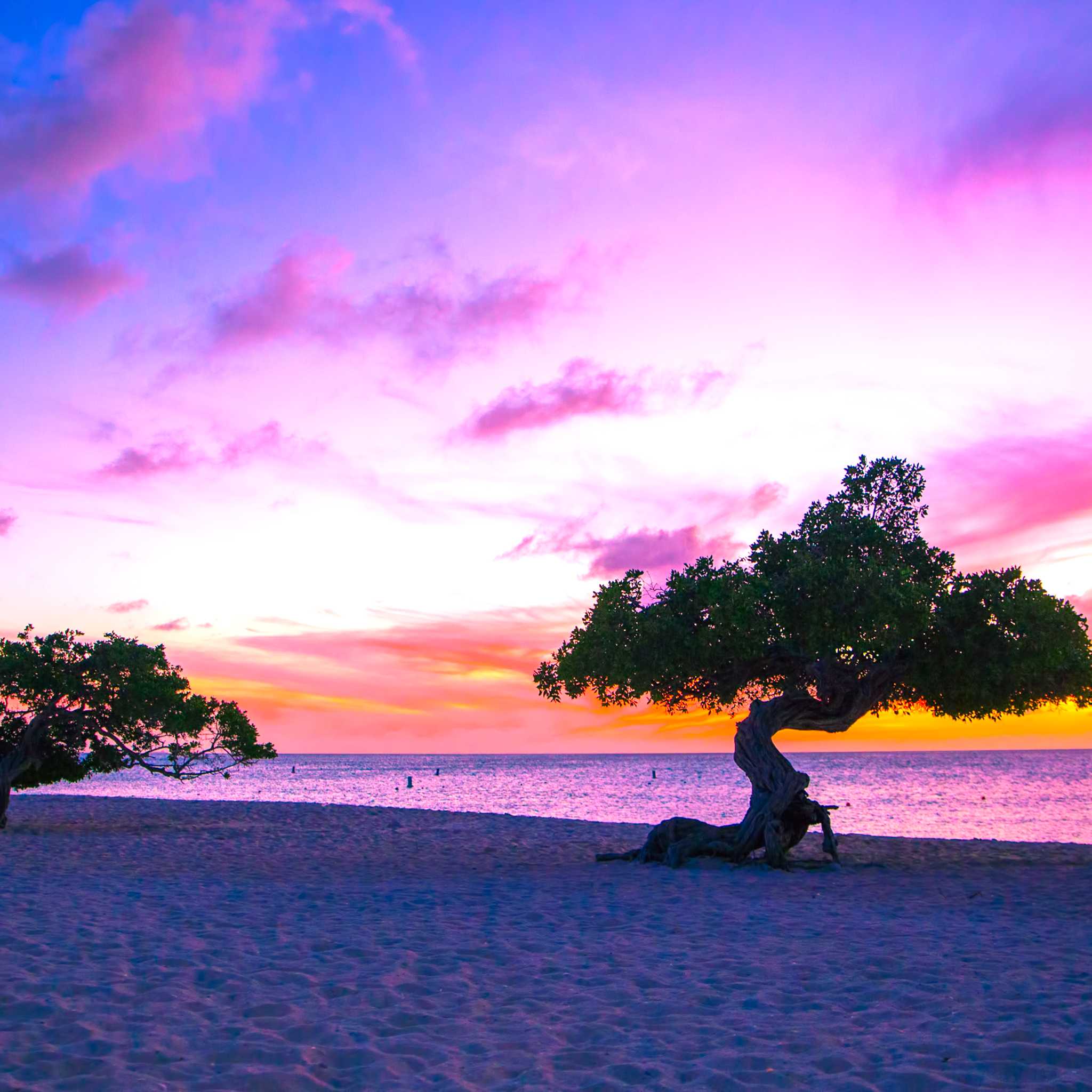 Private car transfers in Aruba from Eagle Beach