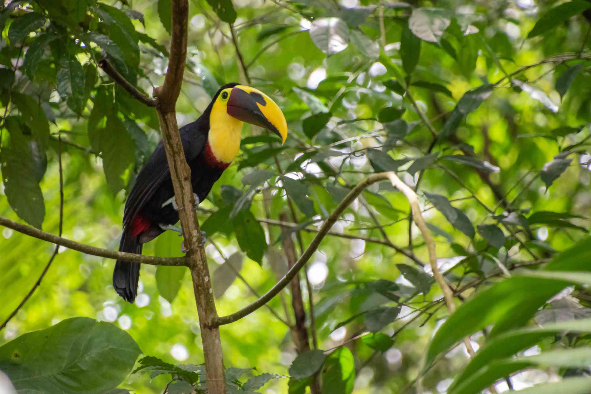 Vacker vy över La Fortuna - privat dagsutflykt från La Fortuna - foto 2