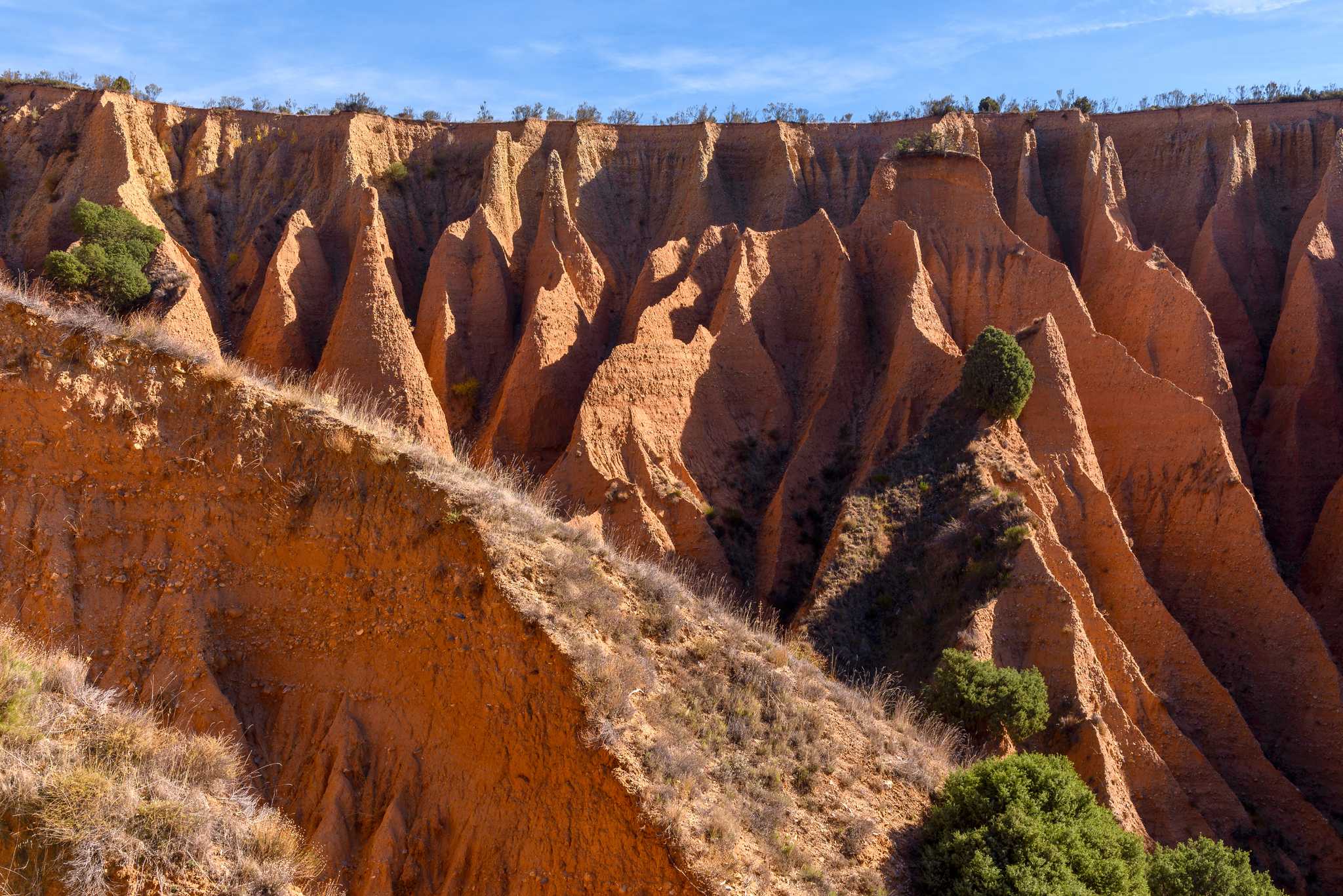 Itinerary stop at El Ponton de la Oliva on private day trip from Madrid