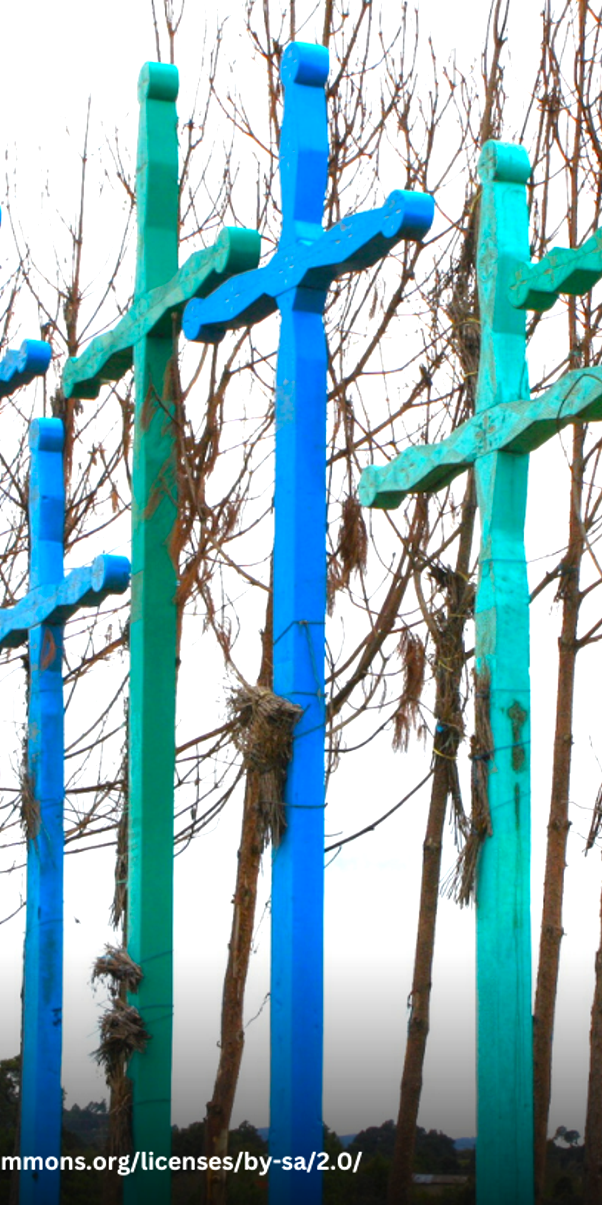 埃尔·罗梅里略