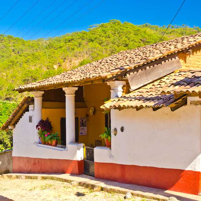 Puerto Vallarta to El Tuito and Vallarta Gardens: Day trip