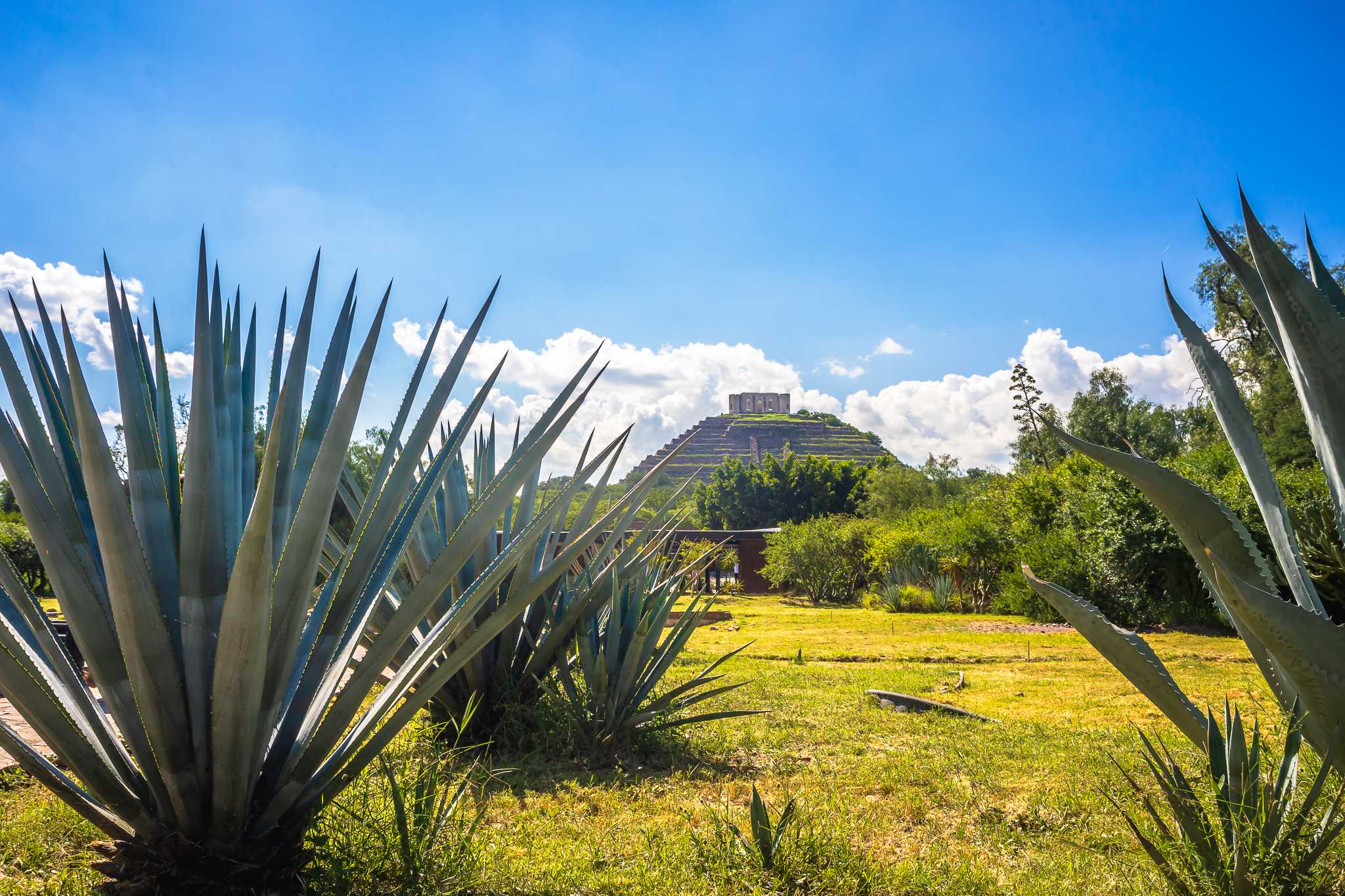Toluca 에서 출발하는 개인적인 하루 여행 중 El Cerrito 일정 정지