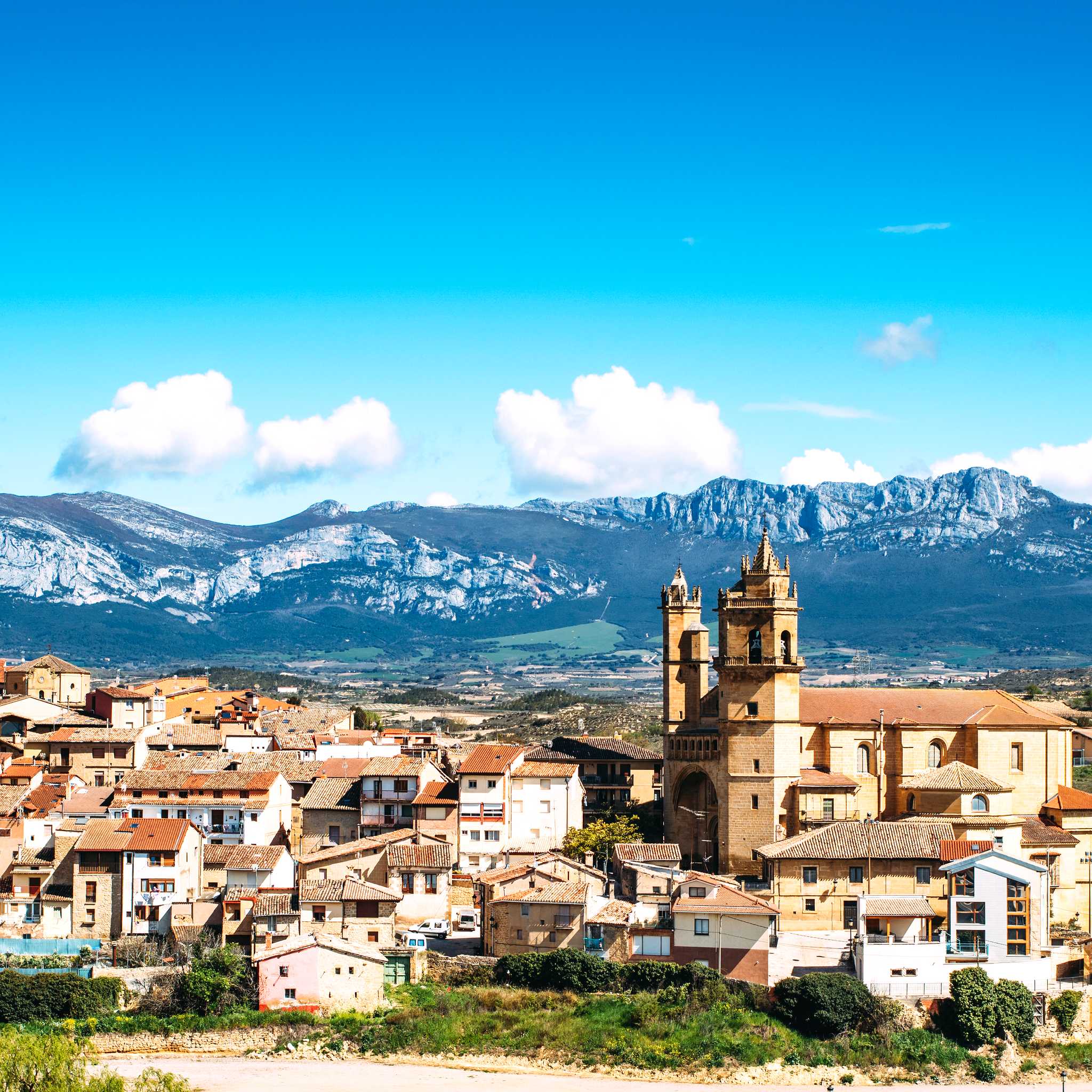 Elciego