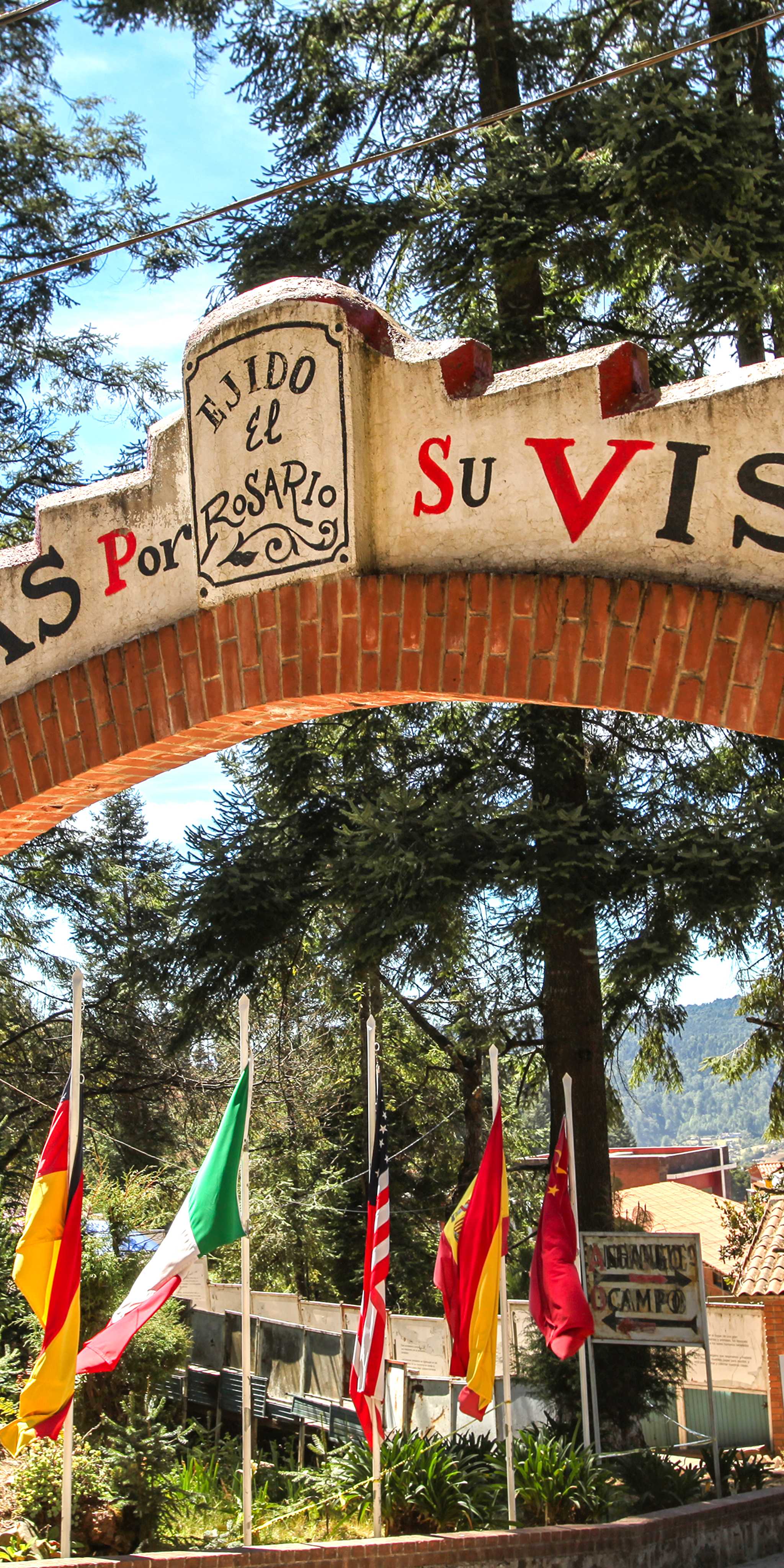 埃尔·罗萨里奥