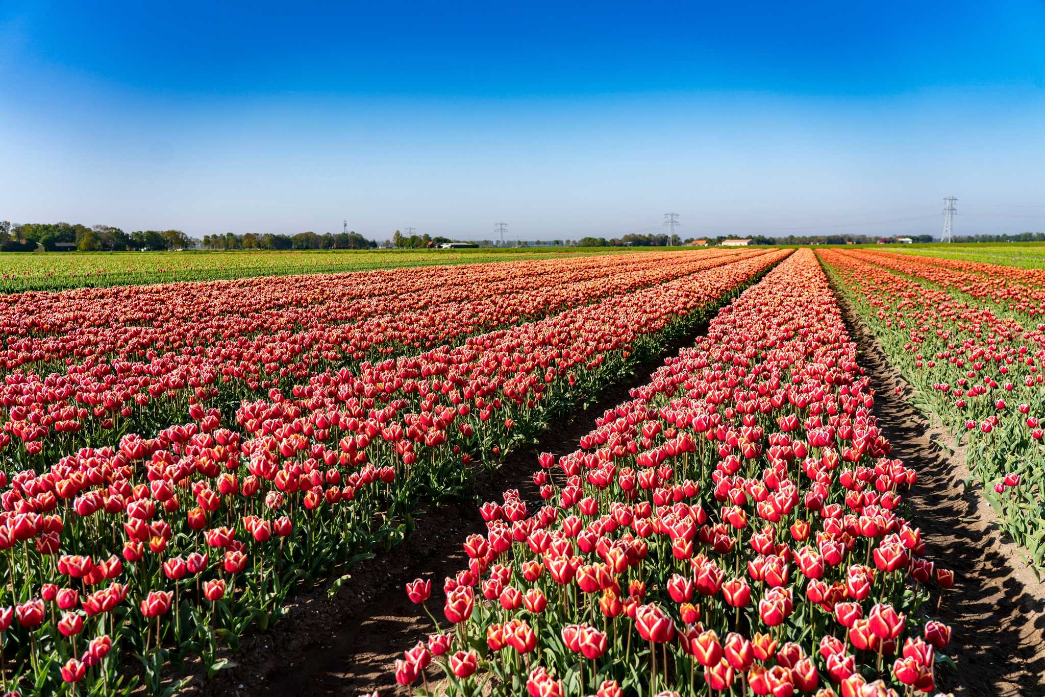 Amsterdam 에서 출발하는 개인적인 하루 여행 중 Emmeloord 일정 정지