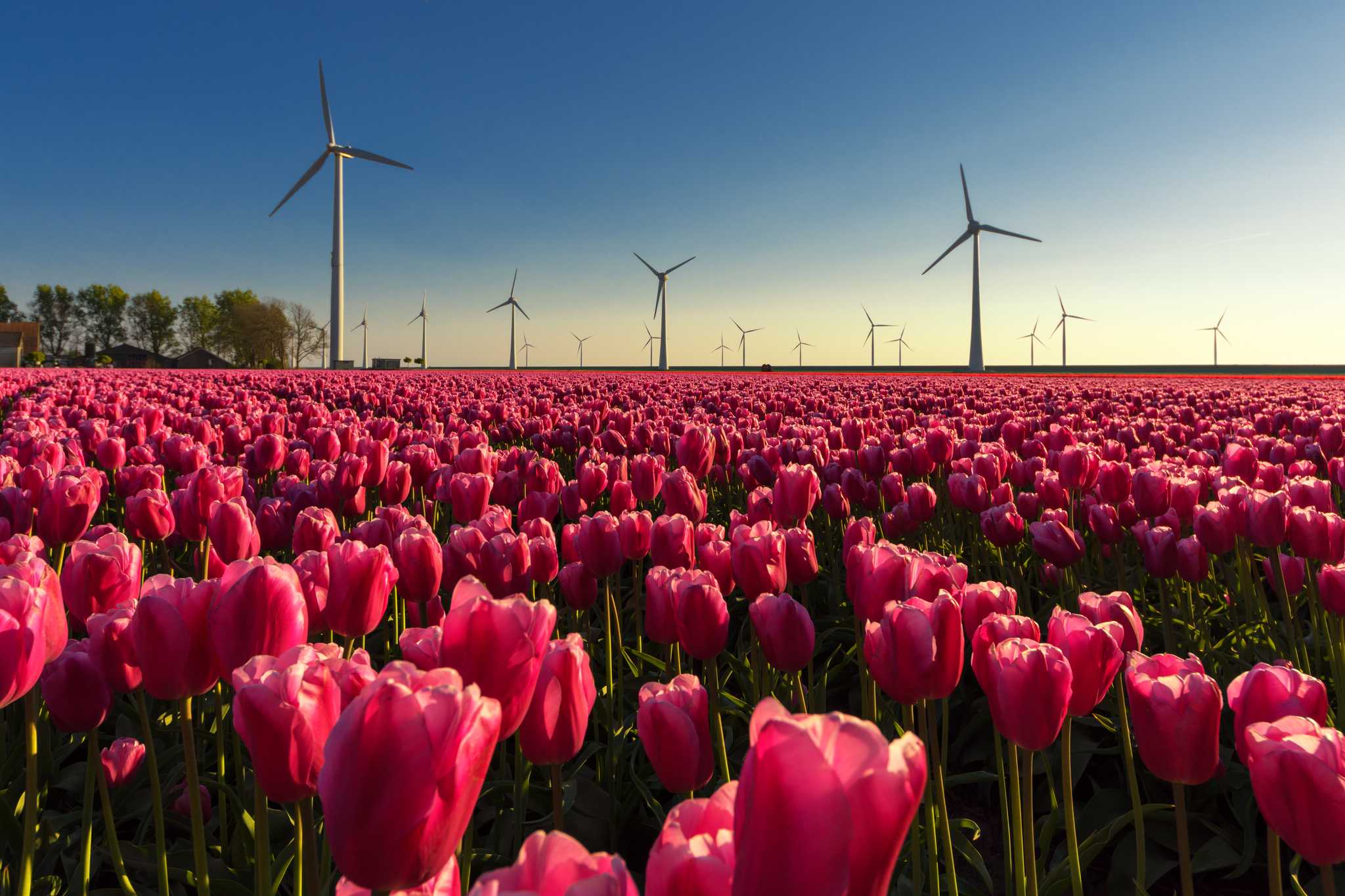 Amsterdam 에서 출발하는 개인적인 하루 여행 중 Emmeloord 일정 정지