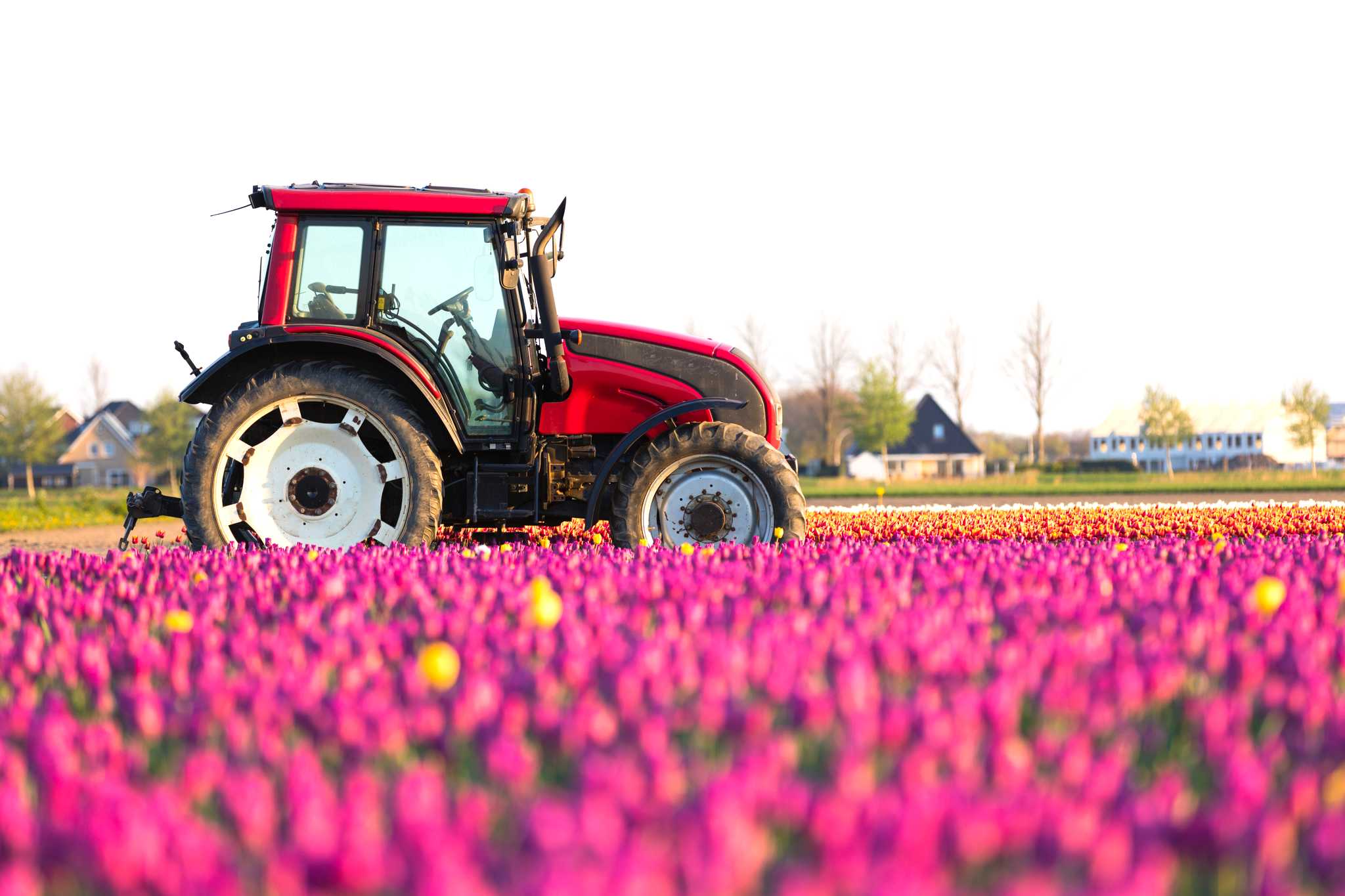 Option privée d'excursion d'une journée depuis Amsterdam