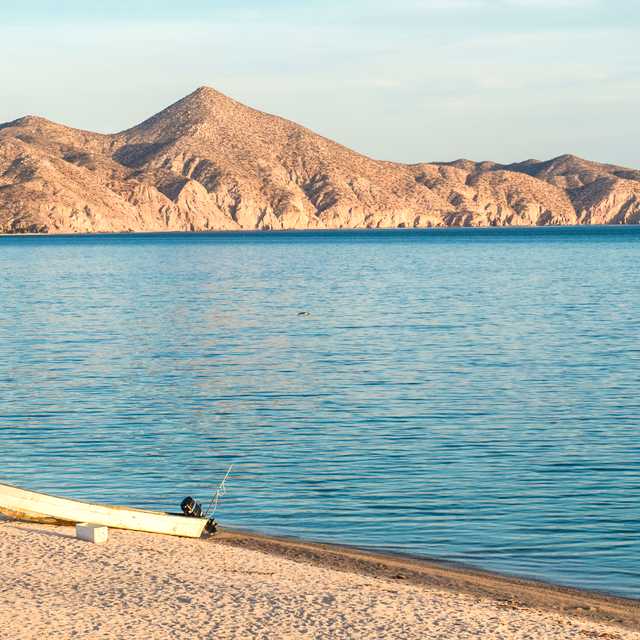 La Paz to Ensenada de Muertos and Cabo Pulmo Park: Day trip