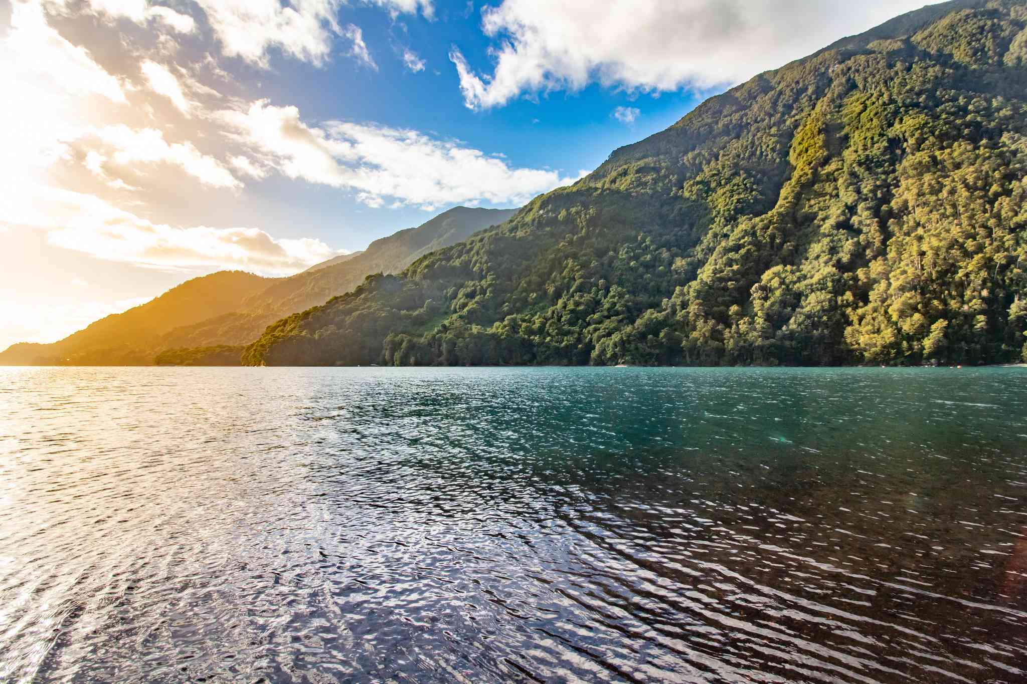 Vista panorámica de Ensenada - excursión privada de un día desde Puerto Varas - foto 3