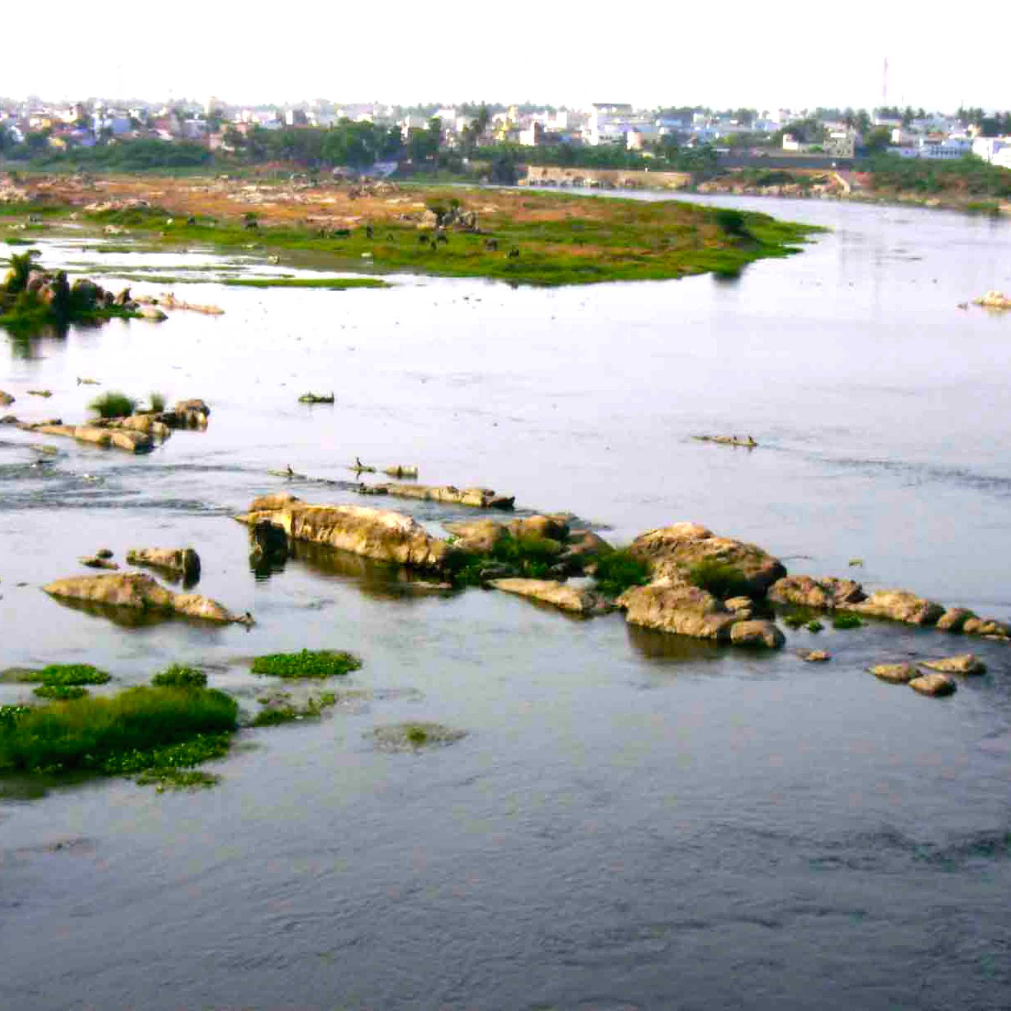 Erode