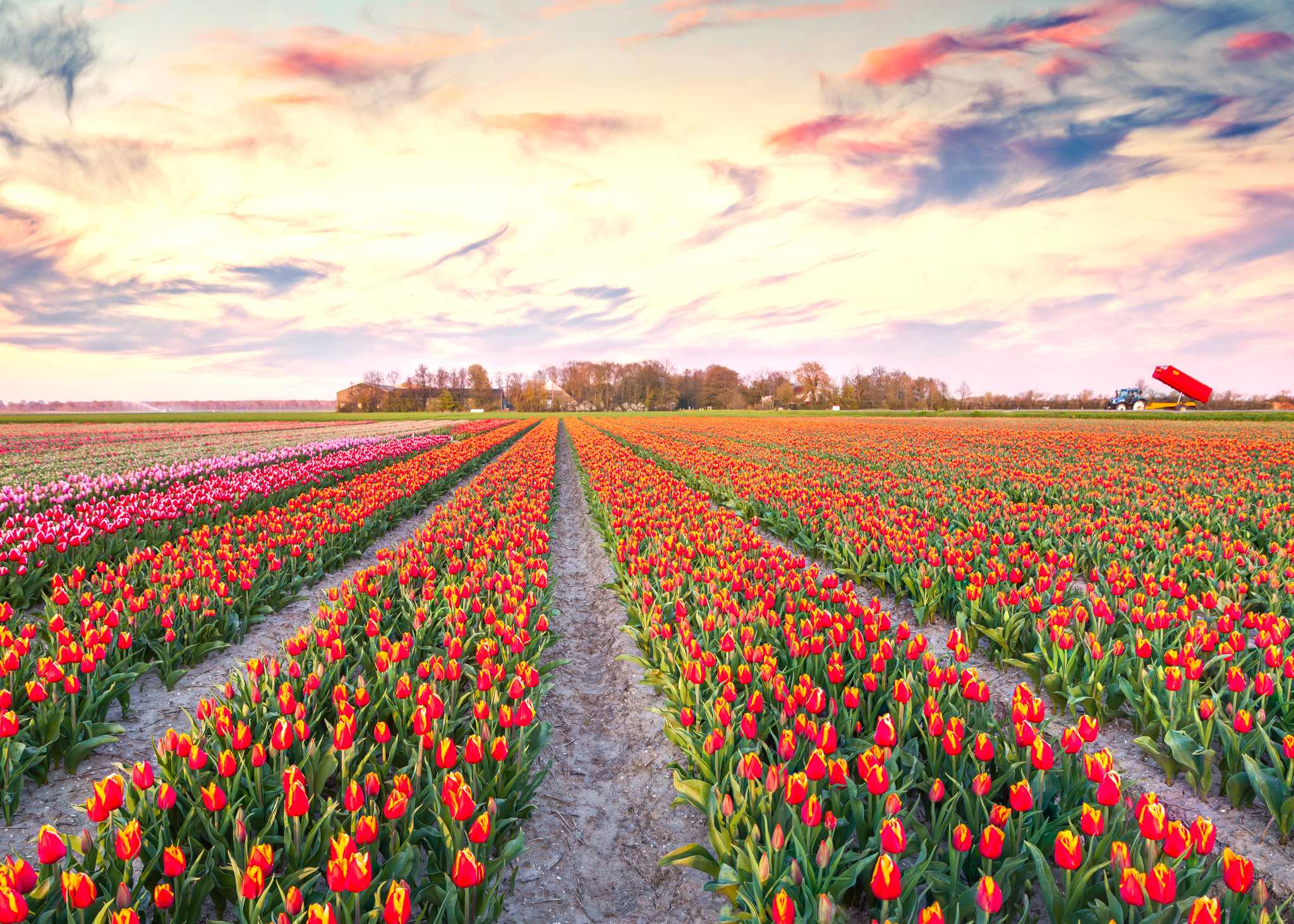 Private Tagesausflug-Option von Amsterdam