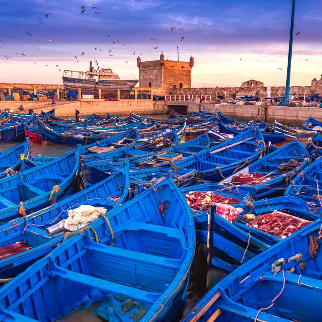 Morocco's Atlantic Coast: Private day trip from Marrakesh