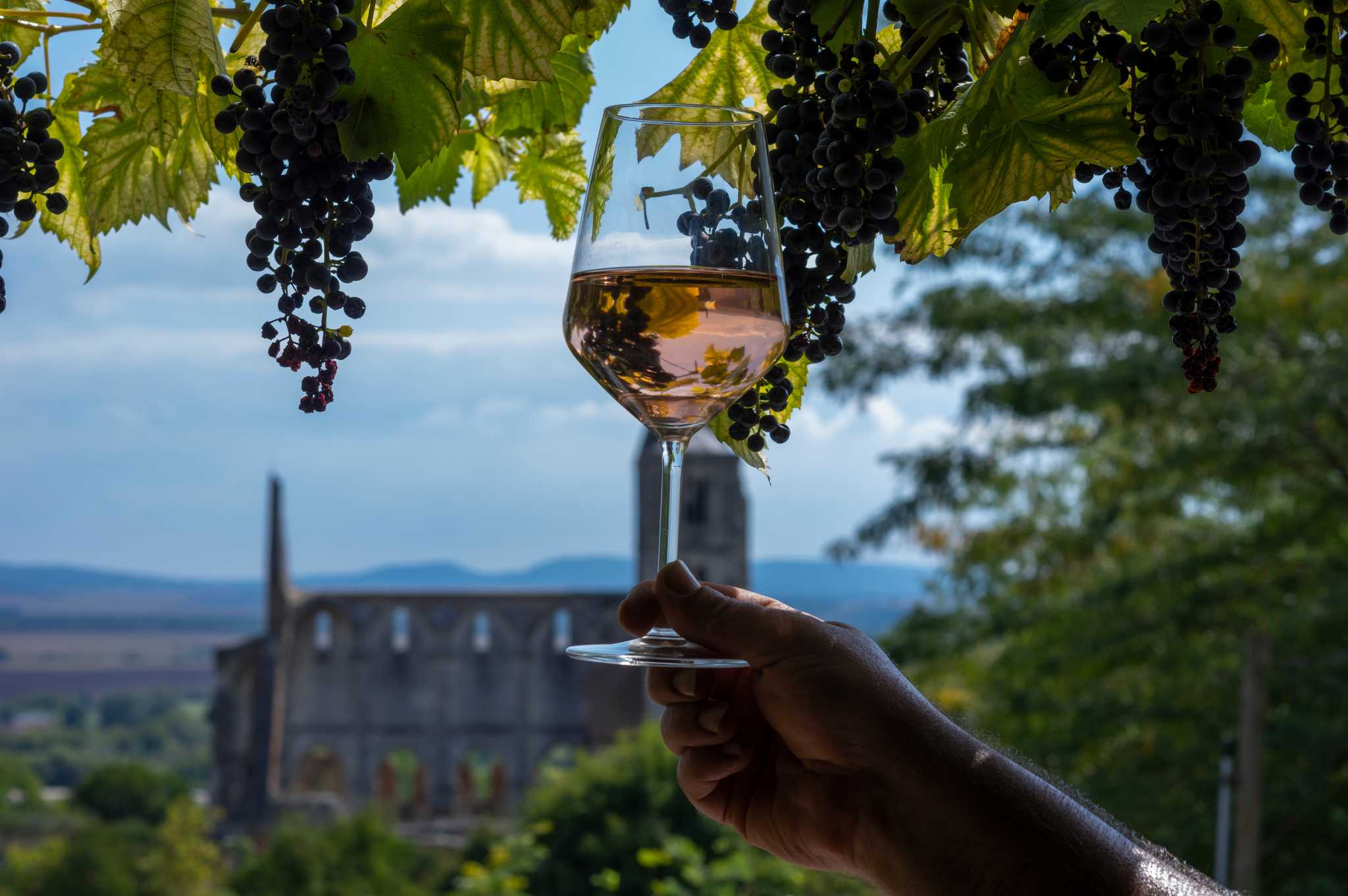 ArrĂȘt de l'itinĂ©raire Ă Etyek lors d'une excursion privĂ©e d'une journĂ©e depuis Budapest
