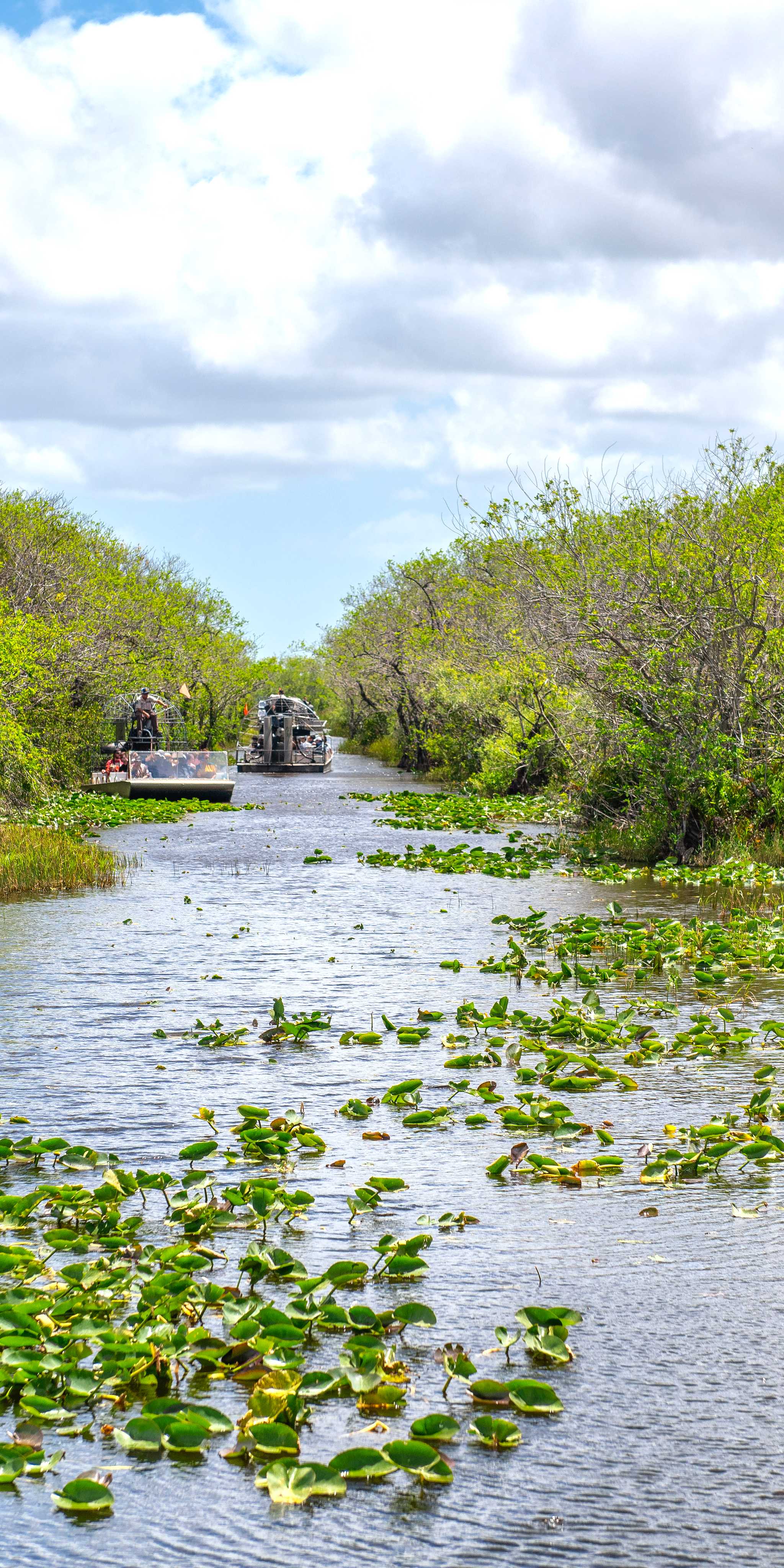 Parque Nacional de los Everglades