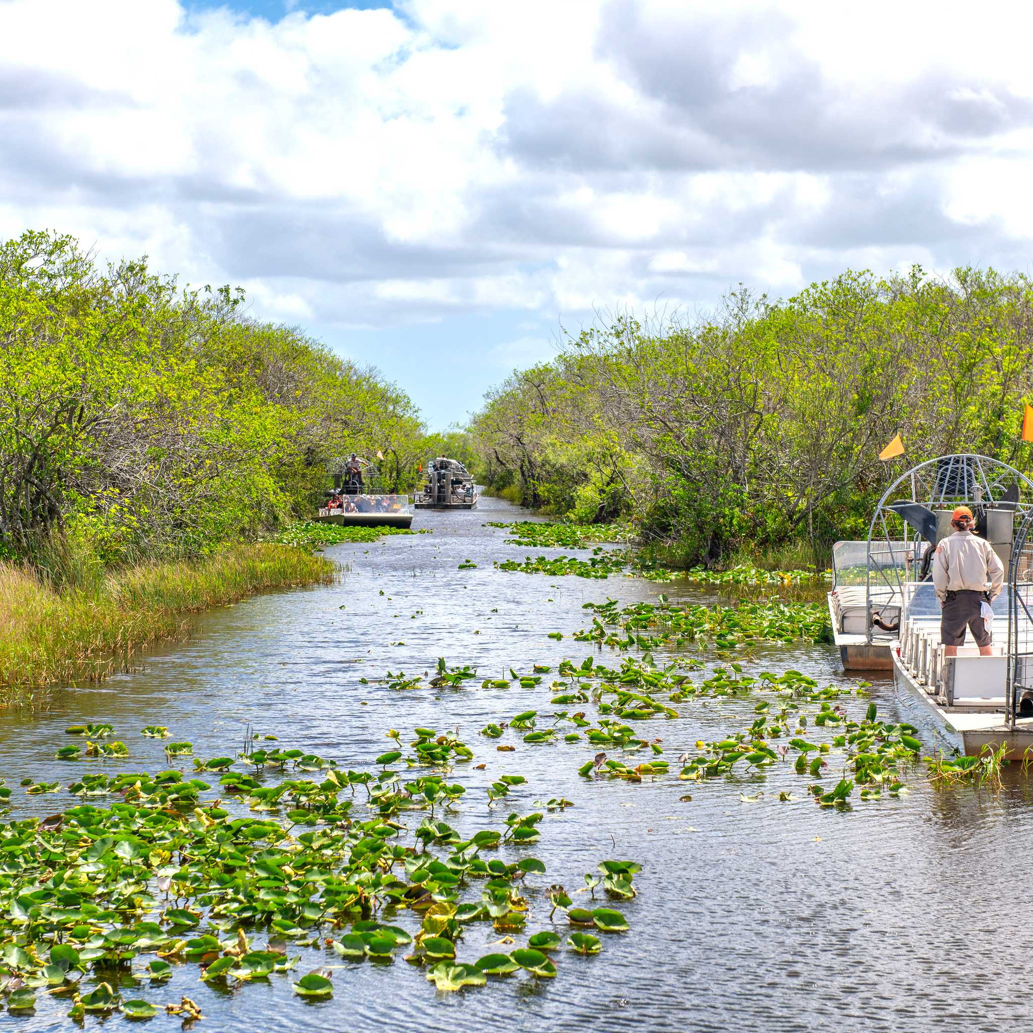 Everglades National Park
