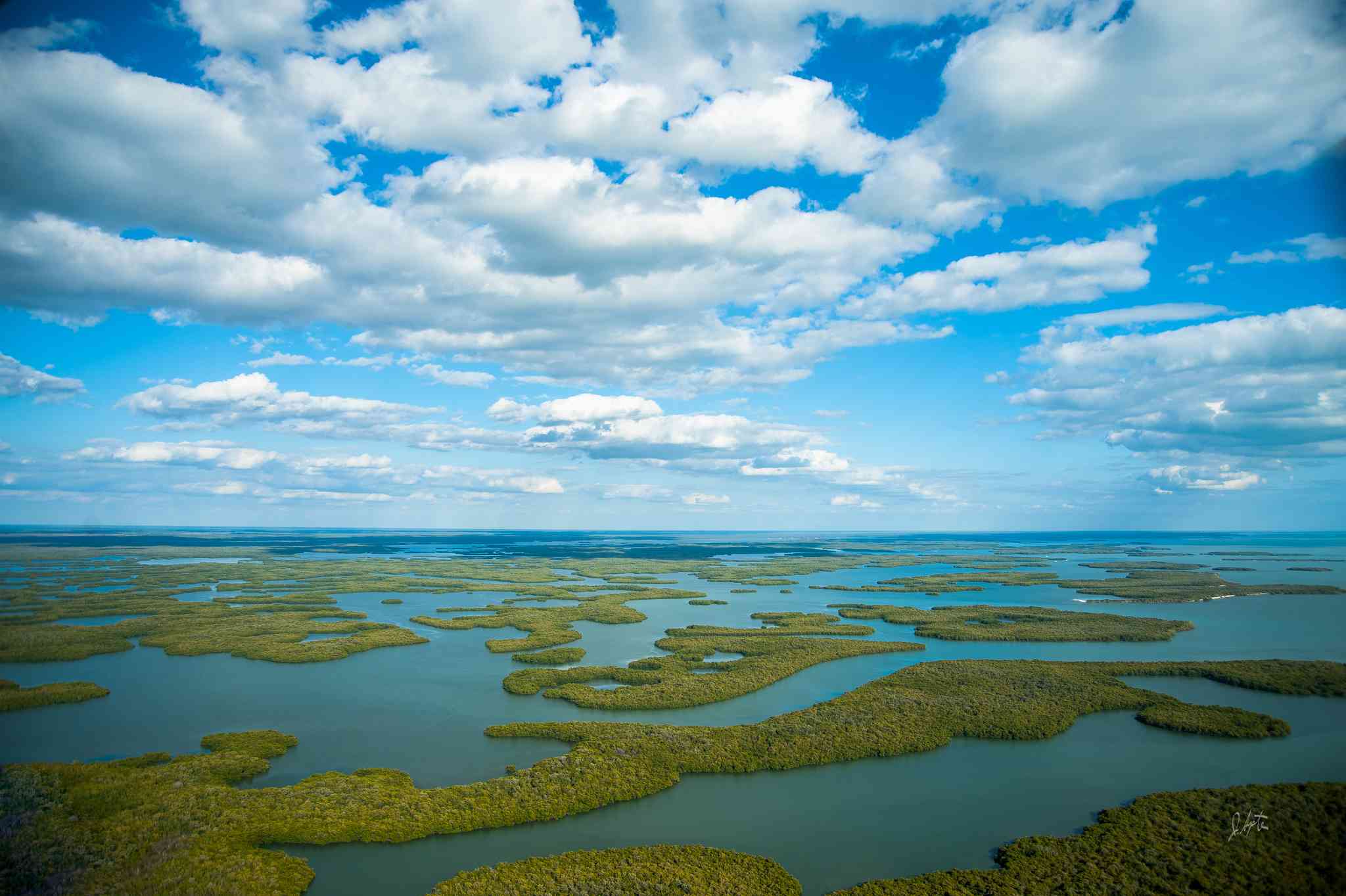 Vacker vy över Everglades National Park - privat dagsutflykt från Miami International Airport - foto 4