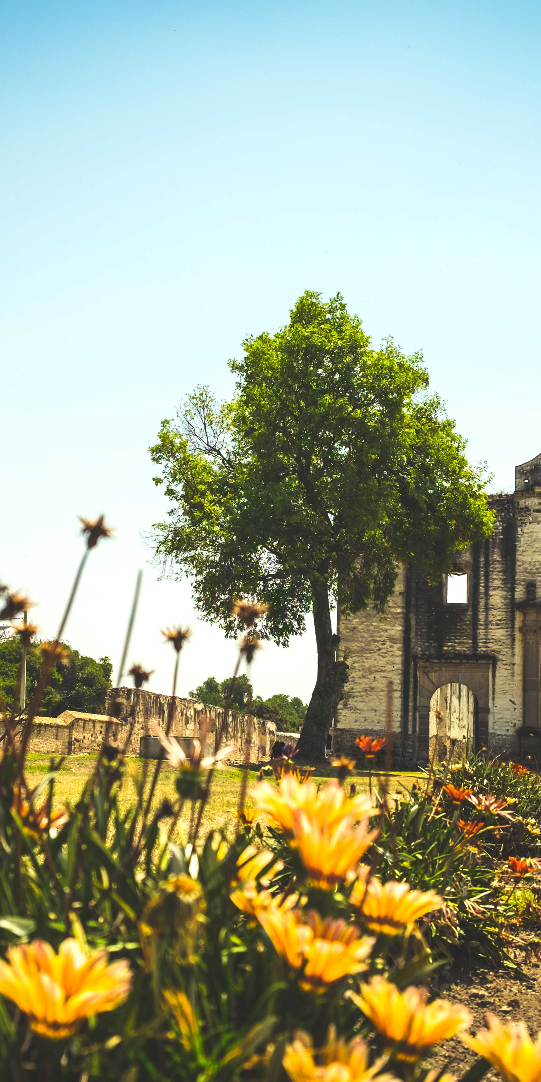 ํ
์นผ๋ฆฌ ์๋์ ์ ์ 