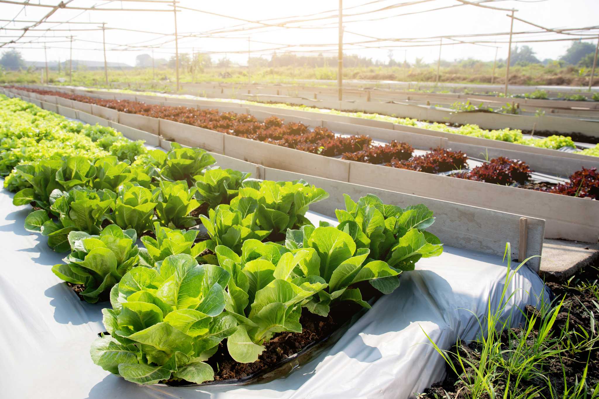 Visit Fair Oaks Farms on the way from chicago-il-us to louisville-ky-us with Daytrip