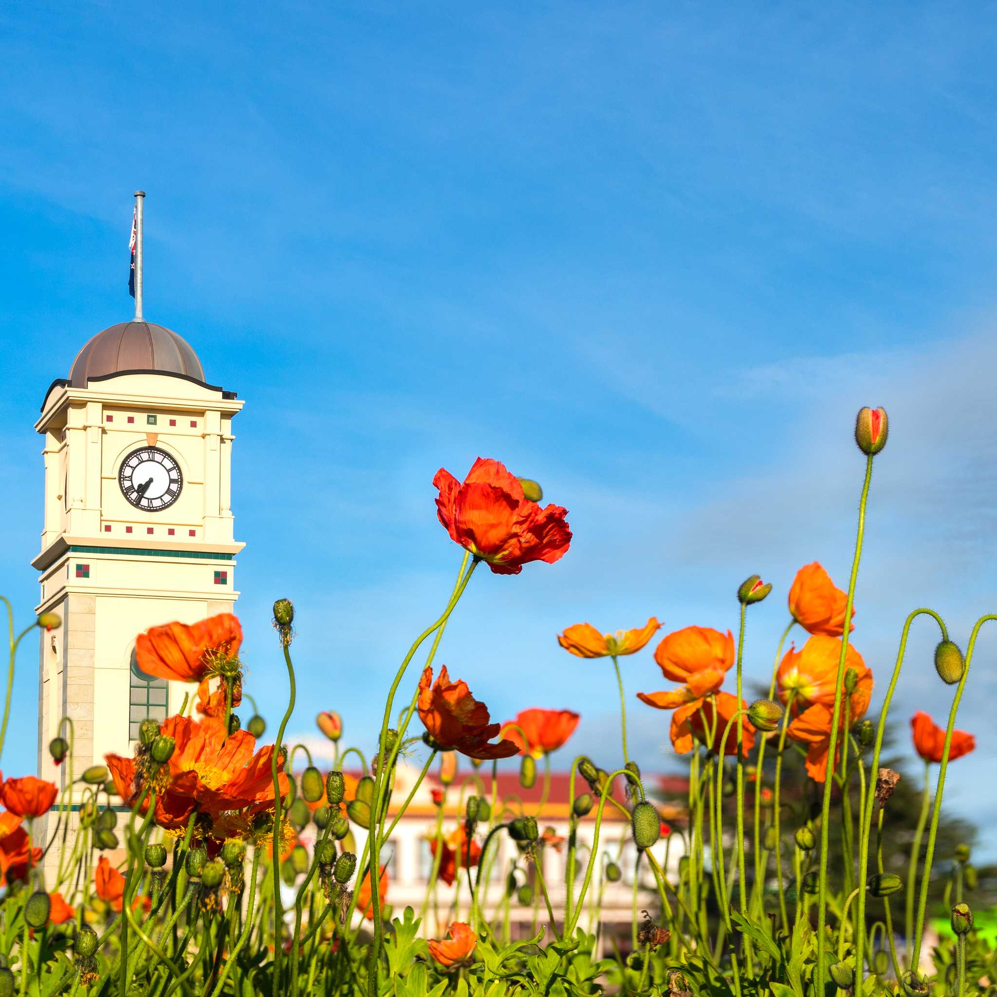 Feilding