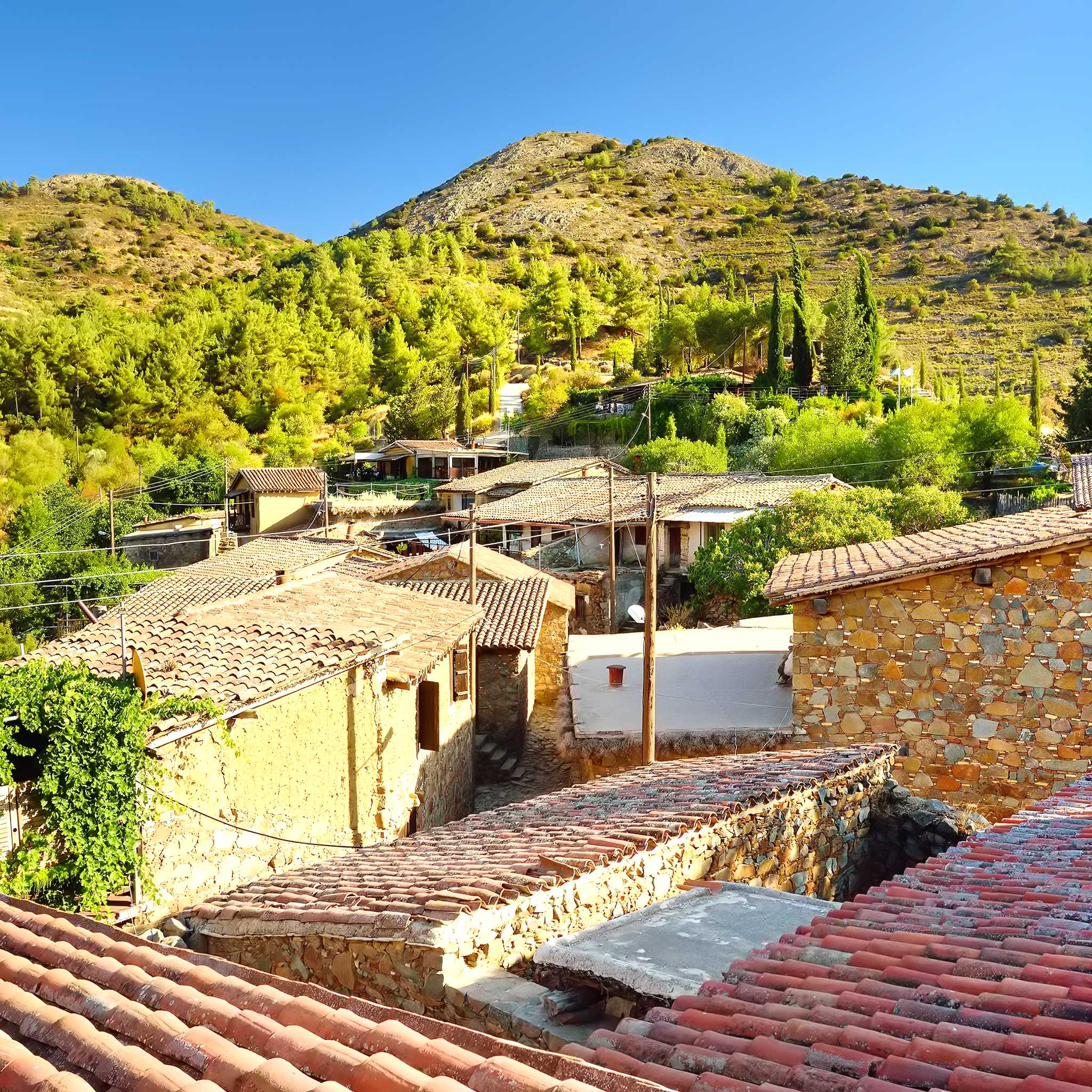 Phicardou