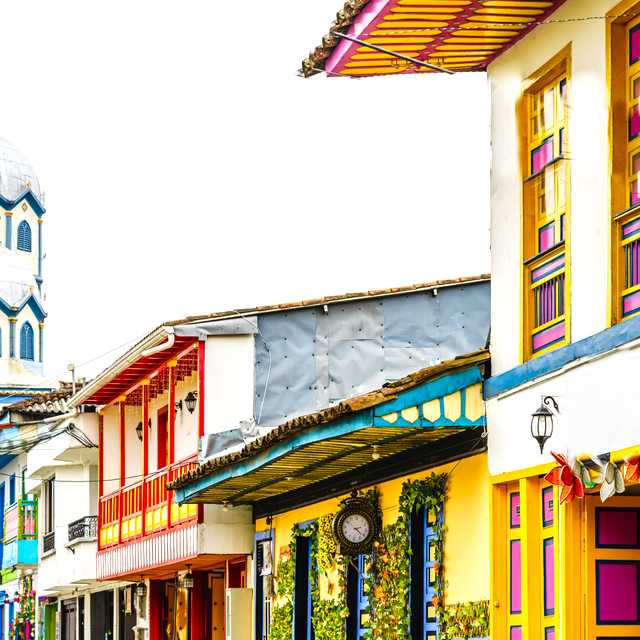 Pereira to Filandia and National Coffee Park: Day trip