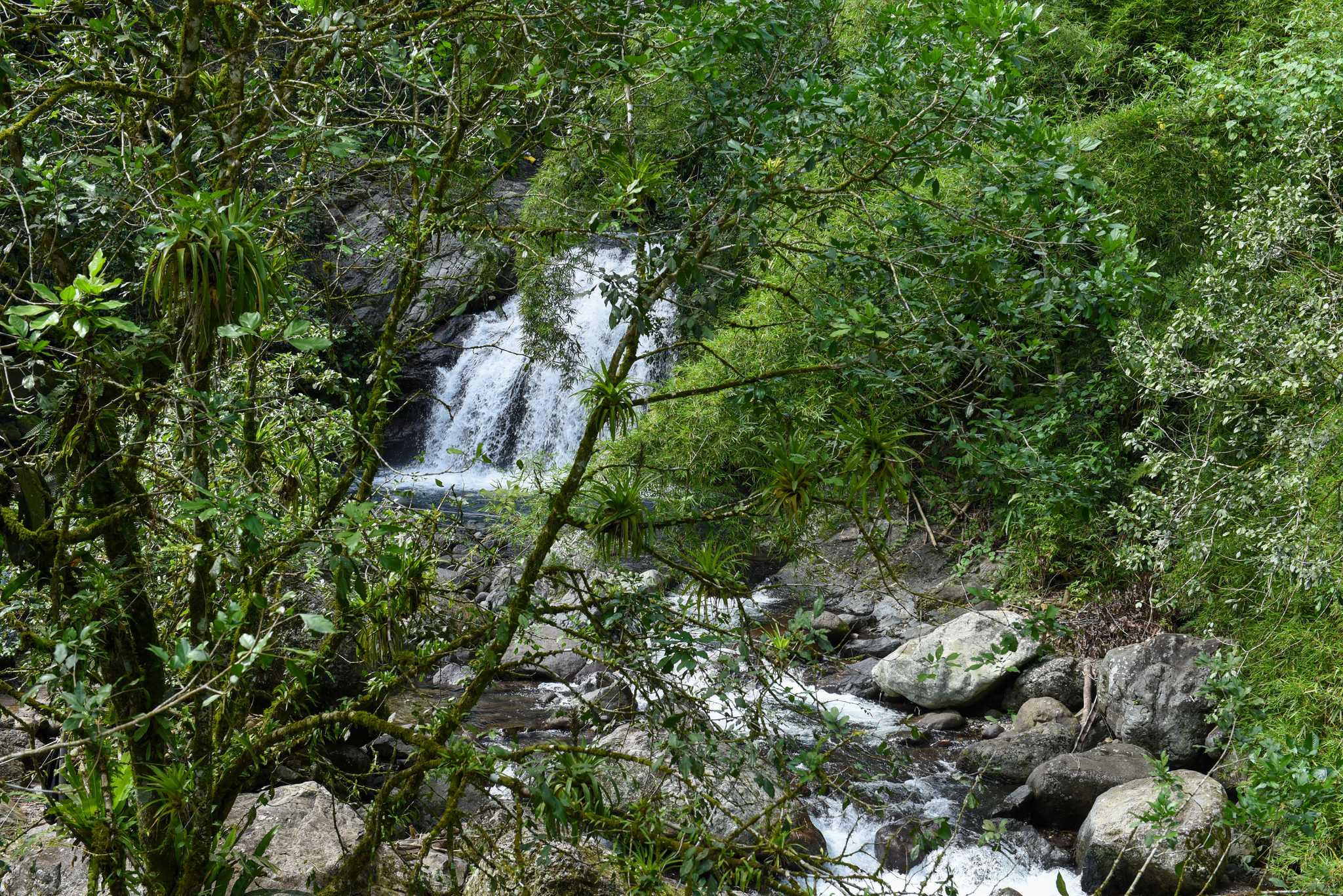Fish Dunn Falls पर निजी दिन की यात्रा में यात्रा ठहराव Montego Bay से