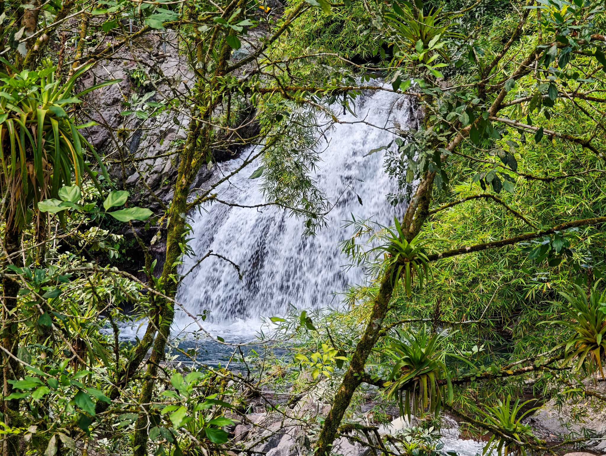 Fish Dunn Falls पर निजी दिन की यात्रा में यात्रा ठहराव Montego Bay से