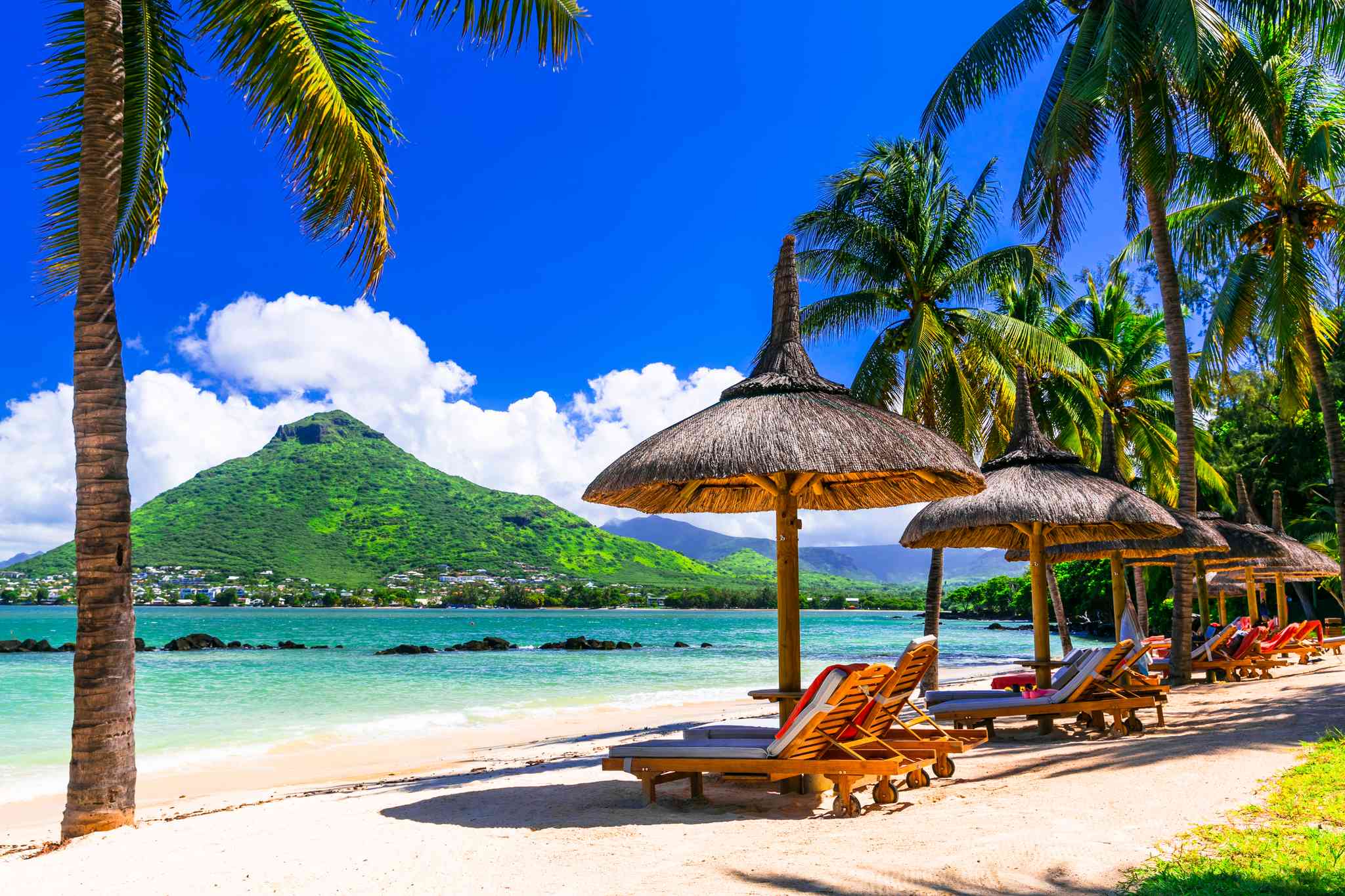 Vue pittoresque de Port Louis - excursion privée d'une journée depuis Flic En Flac Beach - photo 6