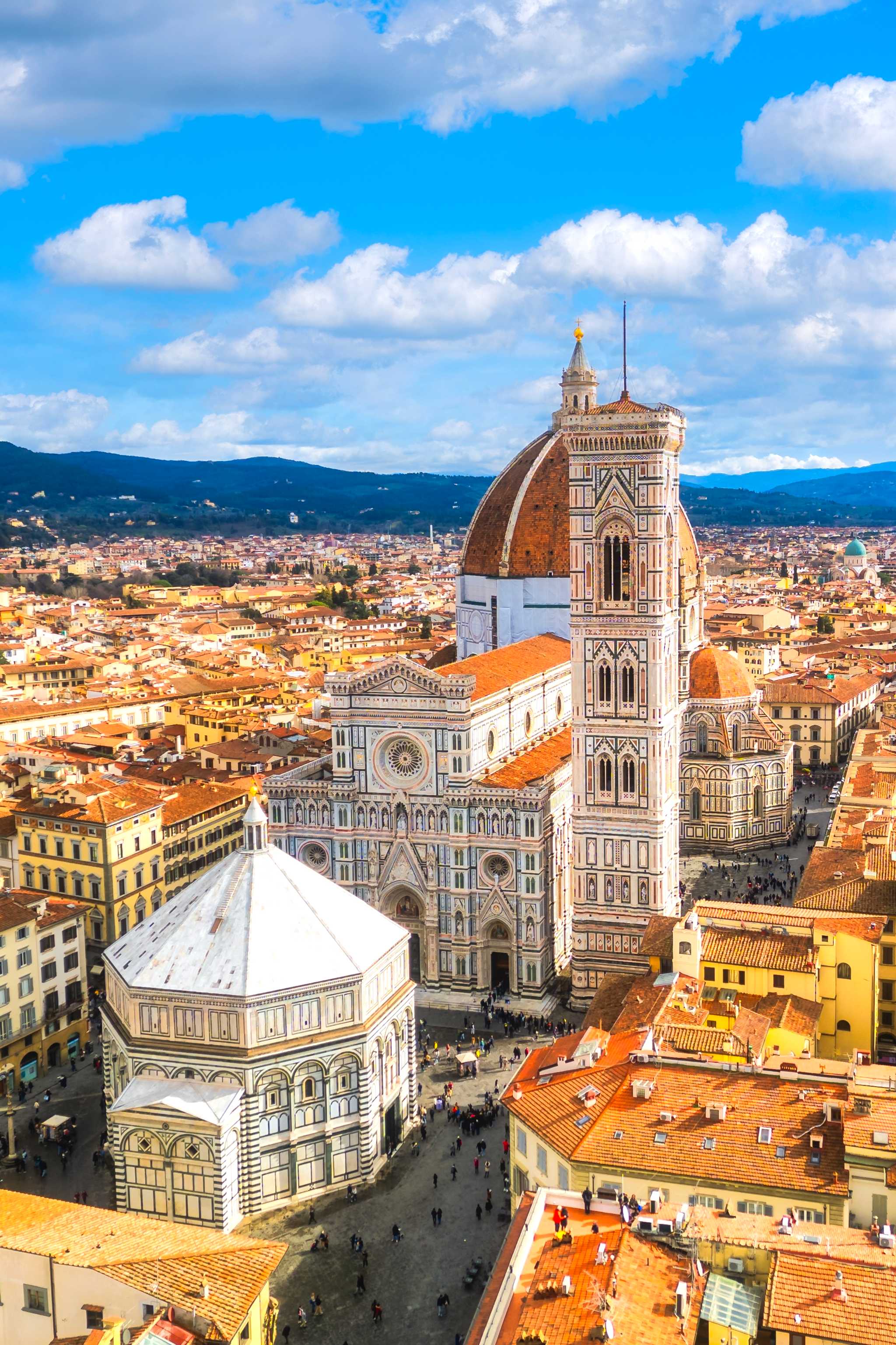 FCO Airport to Florence: Private day trip