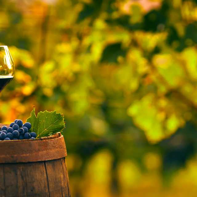 Maßgeschneiderte Fahrten für Flavorful food and drink adventures - Private Transfers von Daytrip