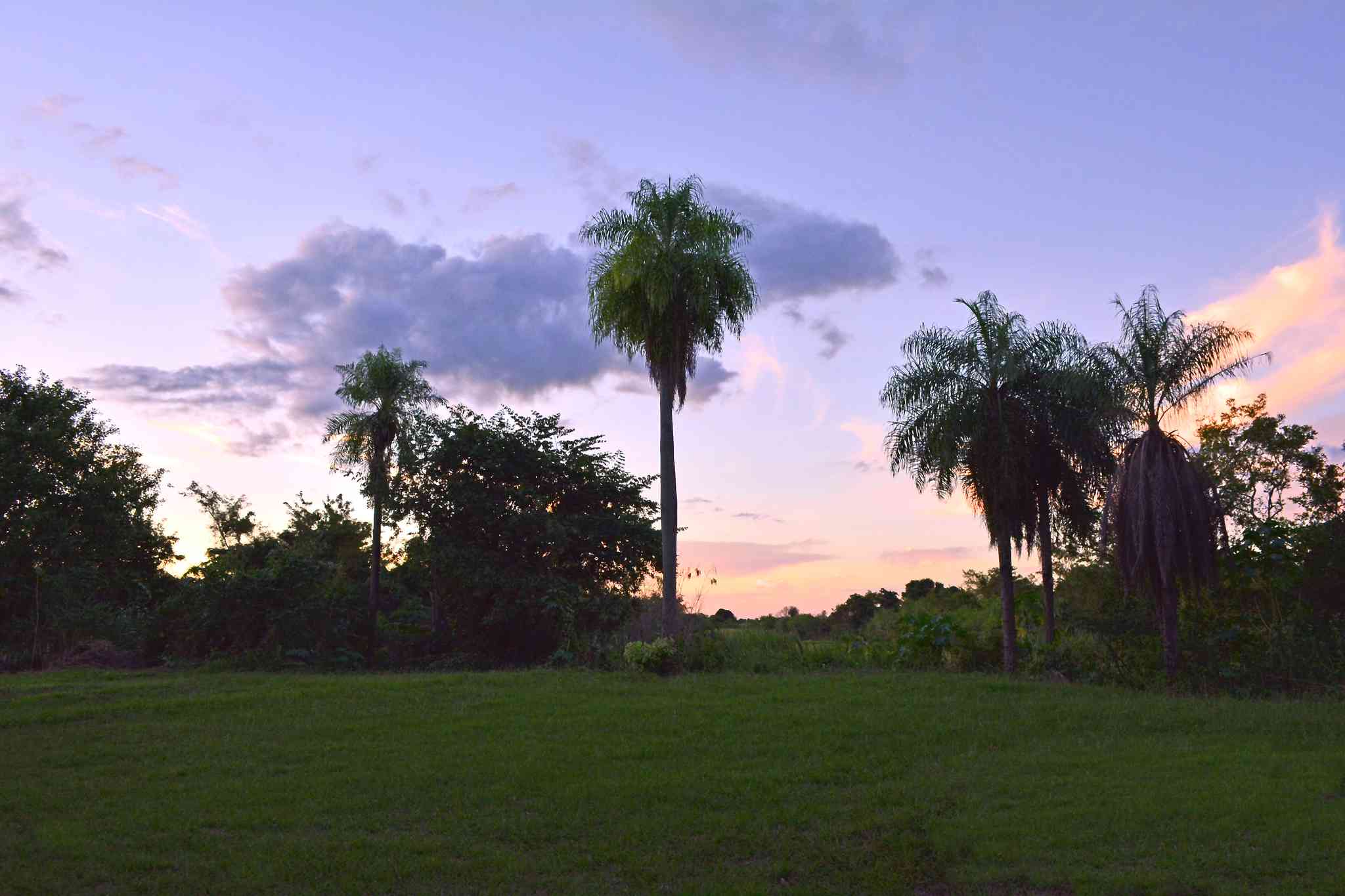 Vista cênica de Asuncion - excursão particular de um dia de Formosa - foto 3