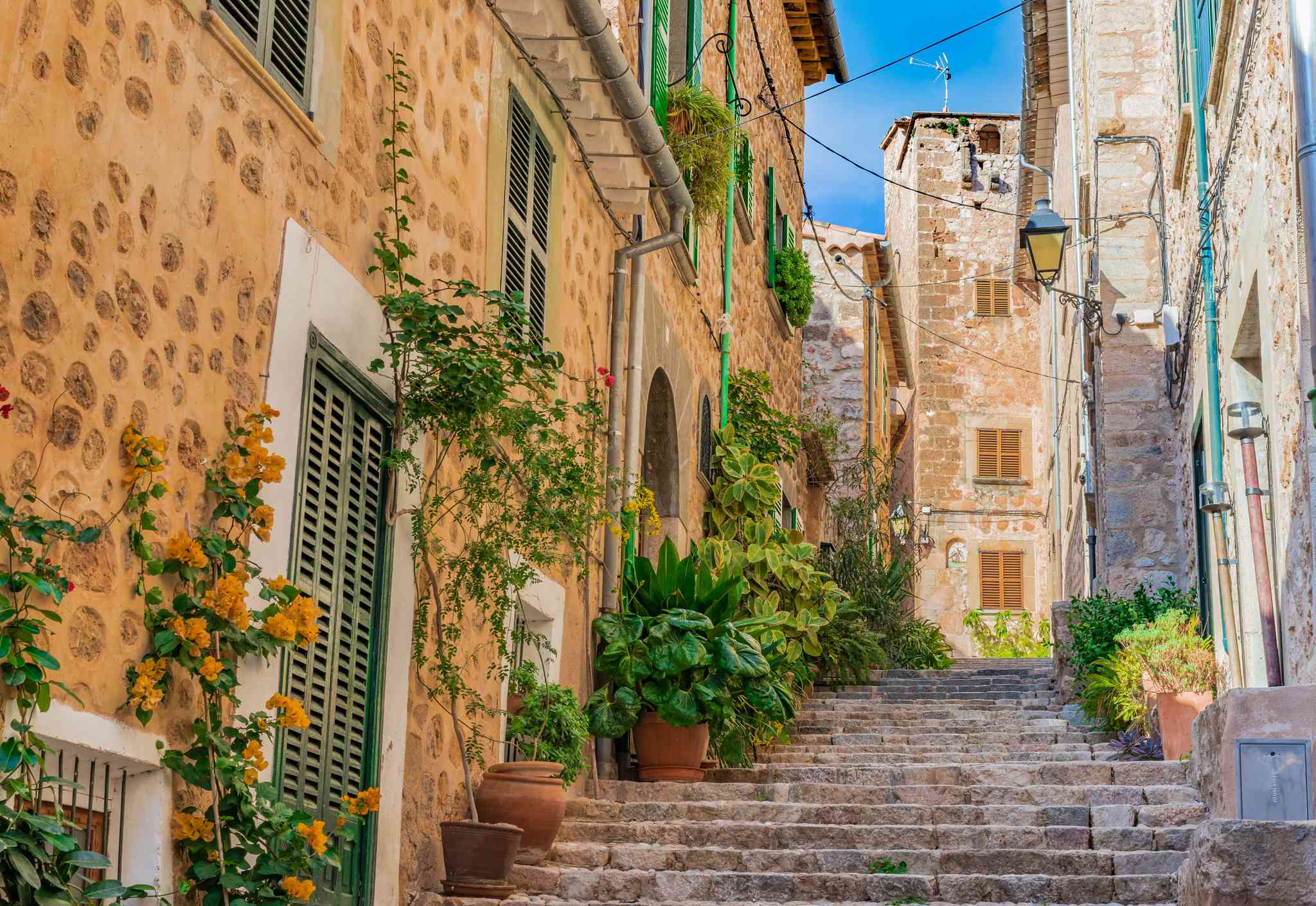 Blick auf die Landschaft von Palma de Mallorca - private Tagesreise von Fornalutx - Foto 6