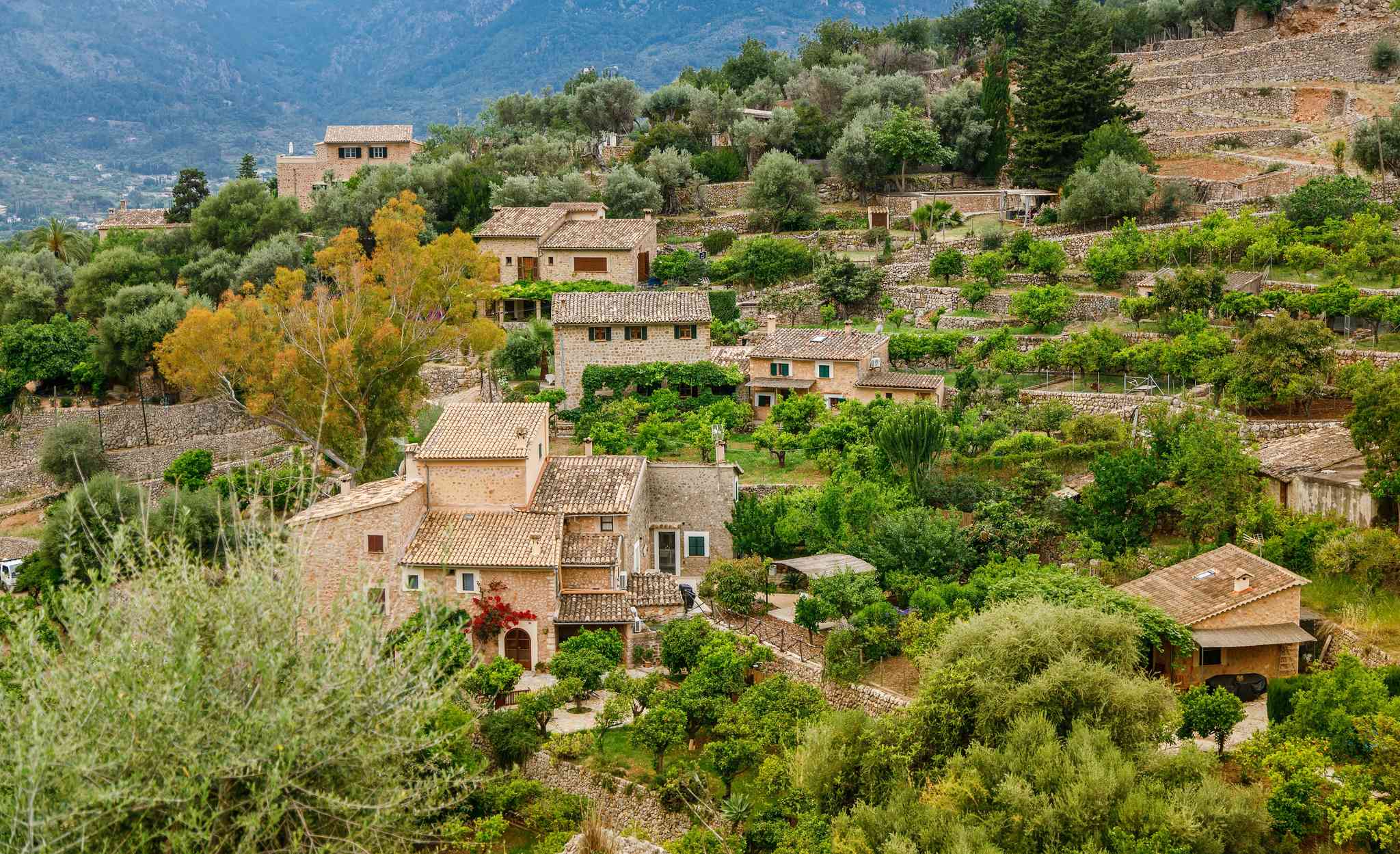 Blick auf die Landschaft von Palma de Mallorca - private Tagesreise von Fornalutx - Foto 7