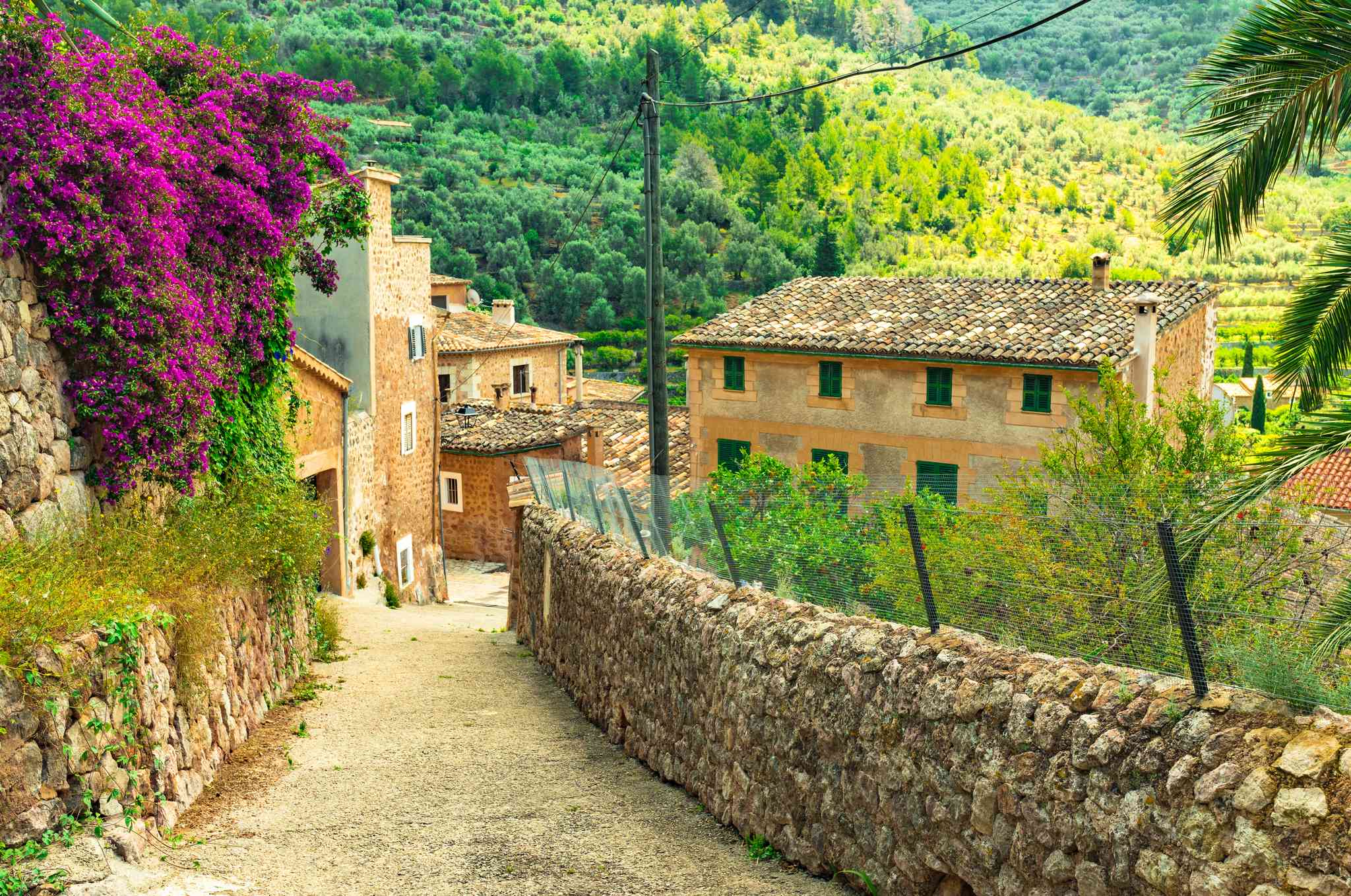 Blick auf die Landschaft von Palma de Mallorca - private Tagesreise von Fornalutx - Foto 8