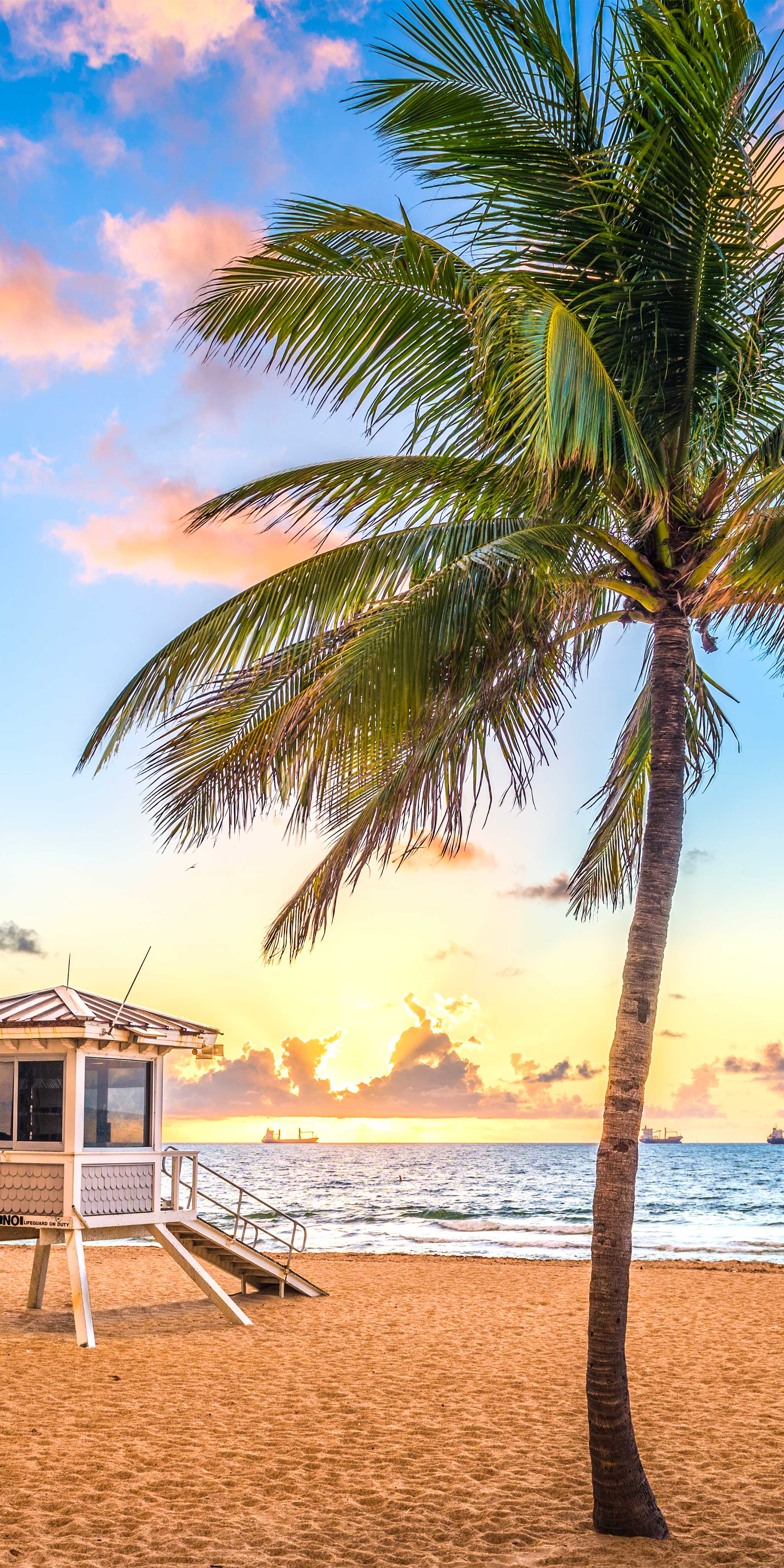 Fort Lauderdale–Hollywood International Airport