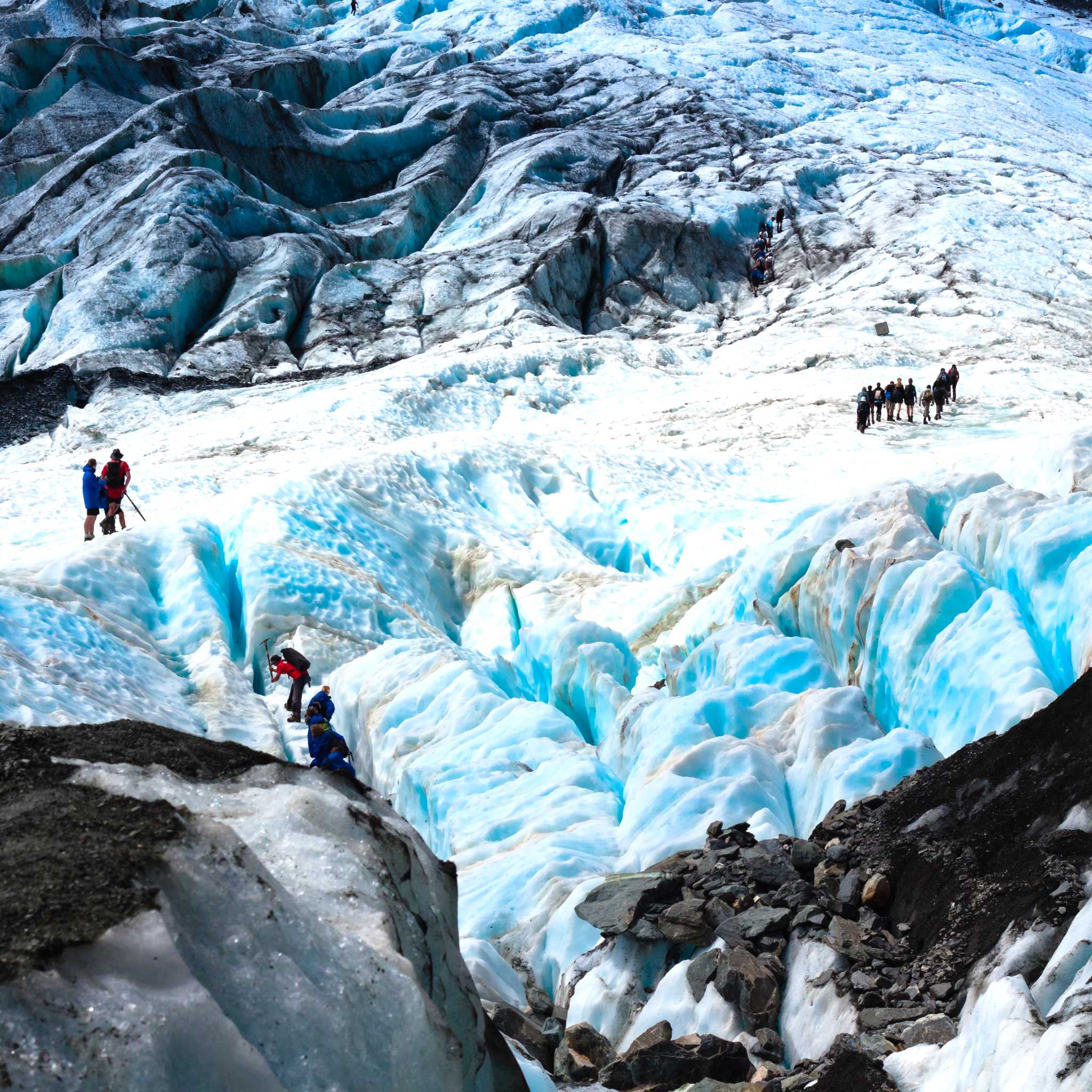 Fox Glacier