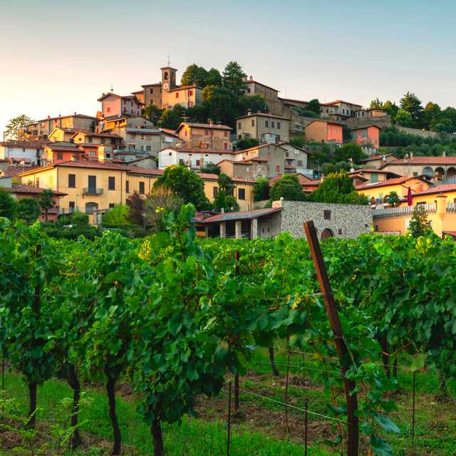 Como City to Bergamo and Franciacorta: Day trip