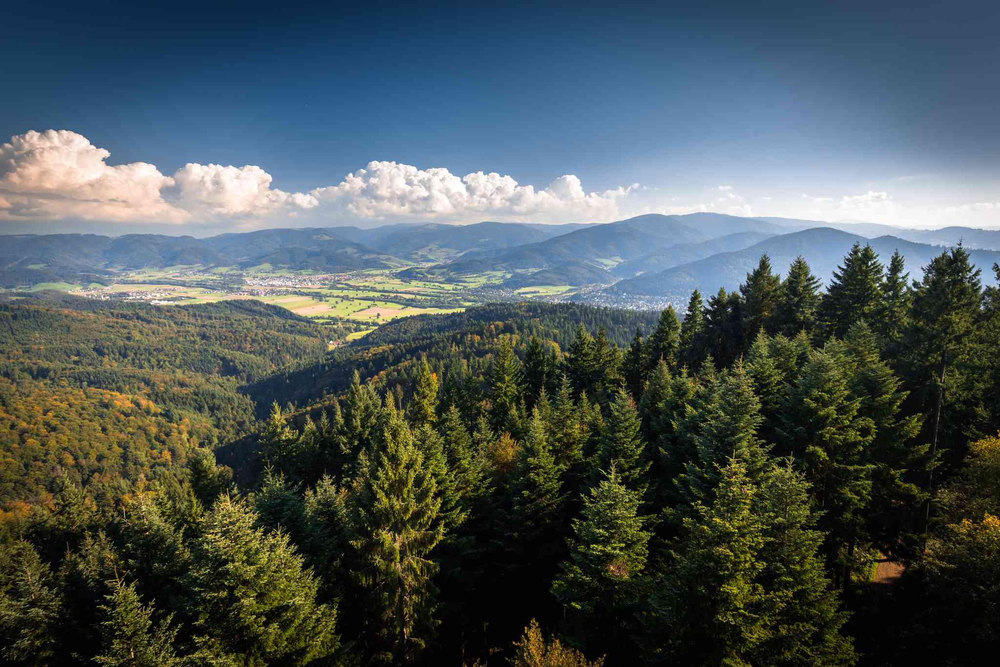 Blick auf die Landschaft von Frankfurt - private Tagesreise von Freiburg im Breisgau - Foto 6
