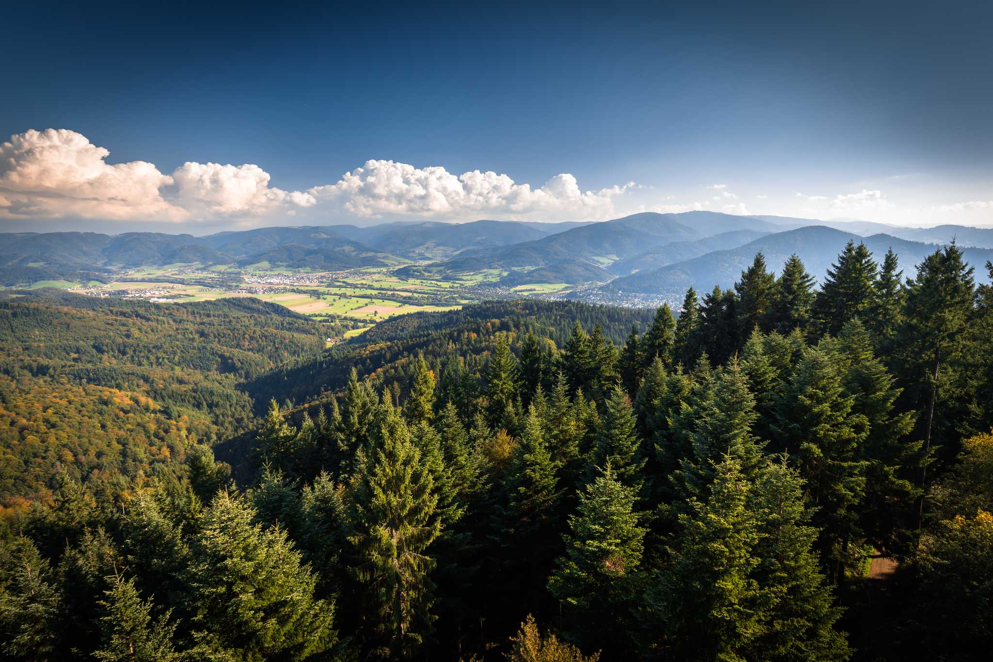 The black forest’s rolling hills, with fall foliage just starting to turn colors.