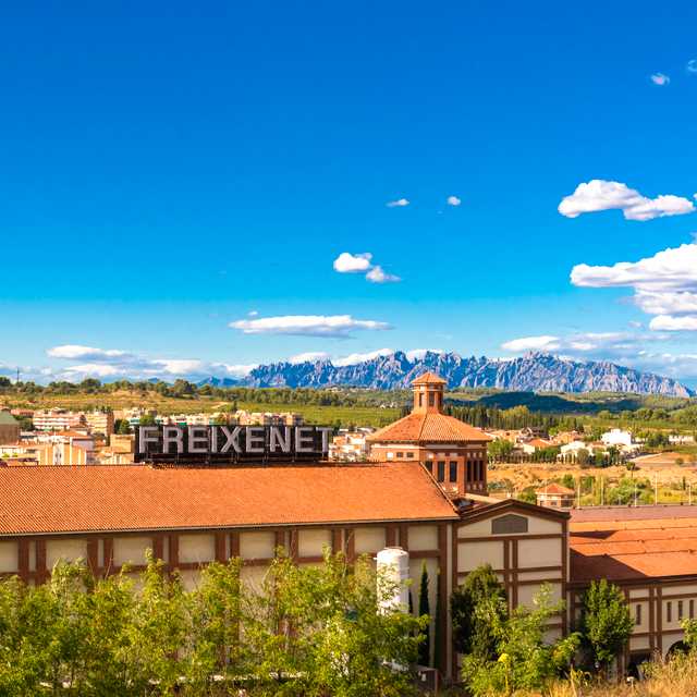 Barcelona to Penedes: Private day trip