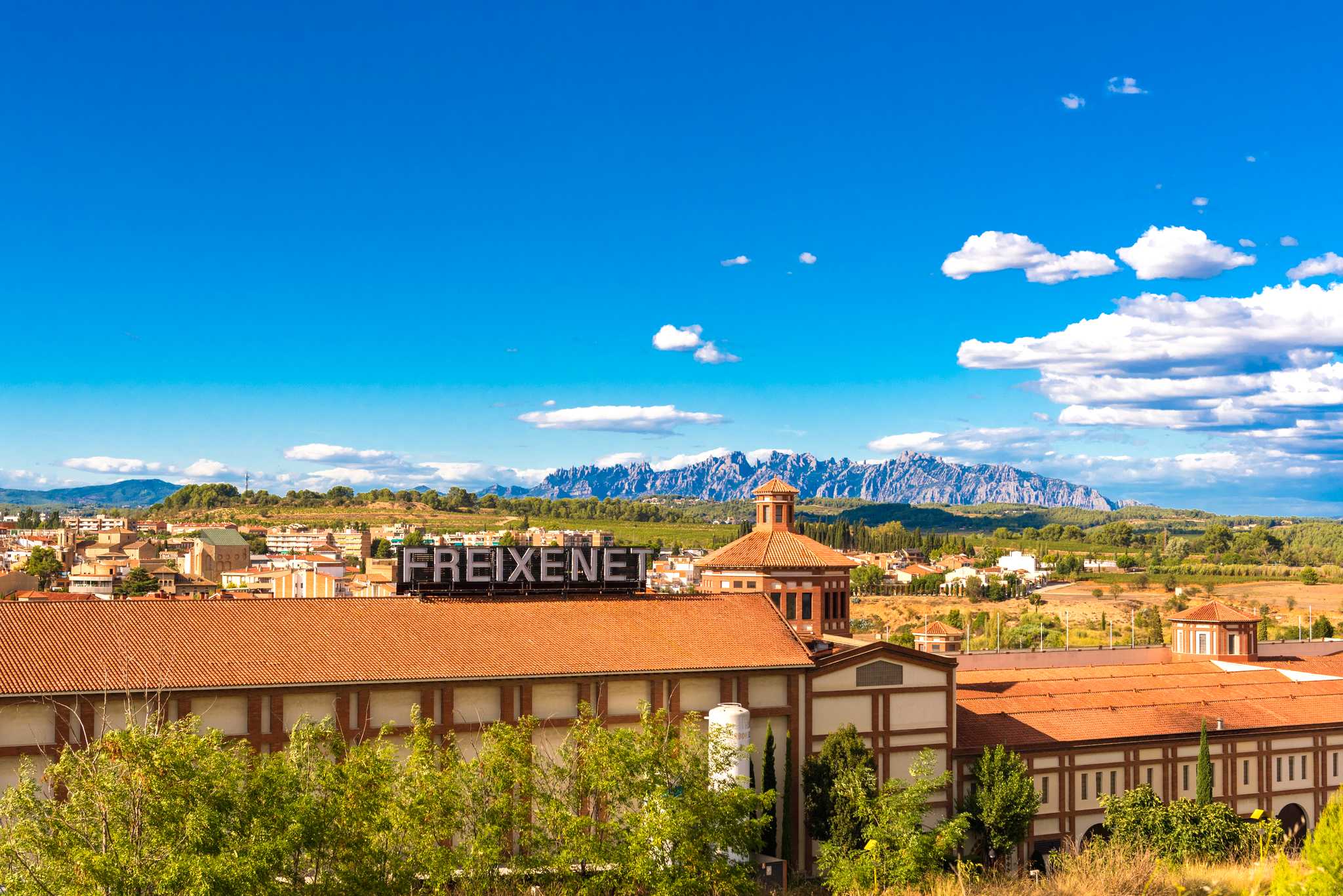 Barcelona to Penedes: Private Day Trip