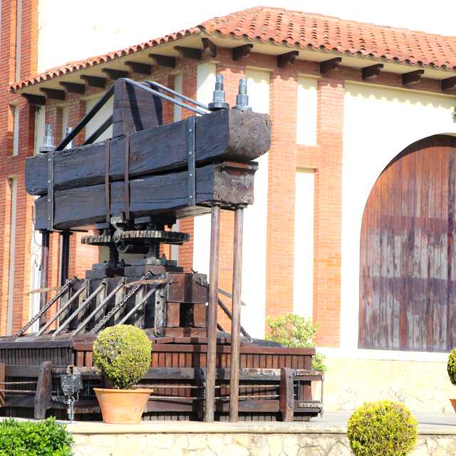 Barcelona Airport to Penedes: Private Day Trip