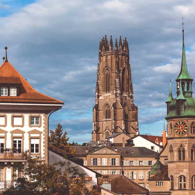 Interlaken to Fribourg and Murten: Private day trip