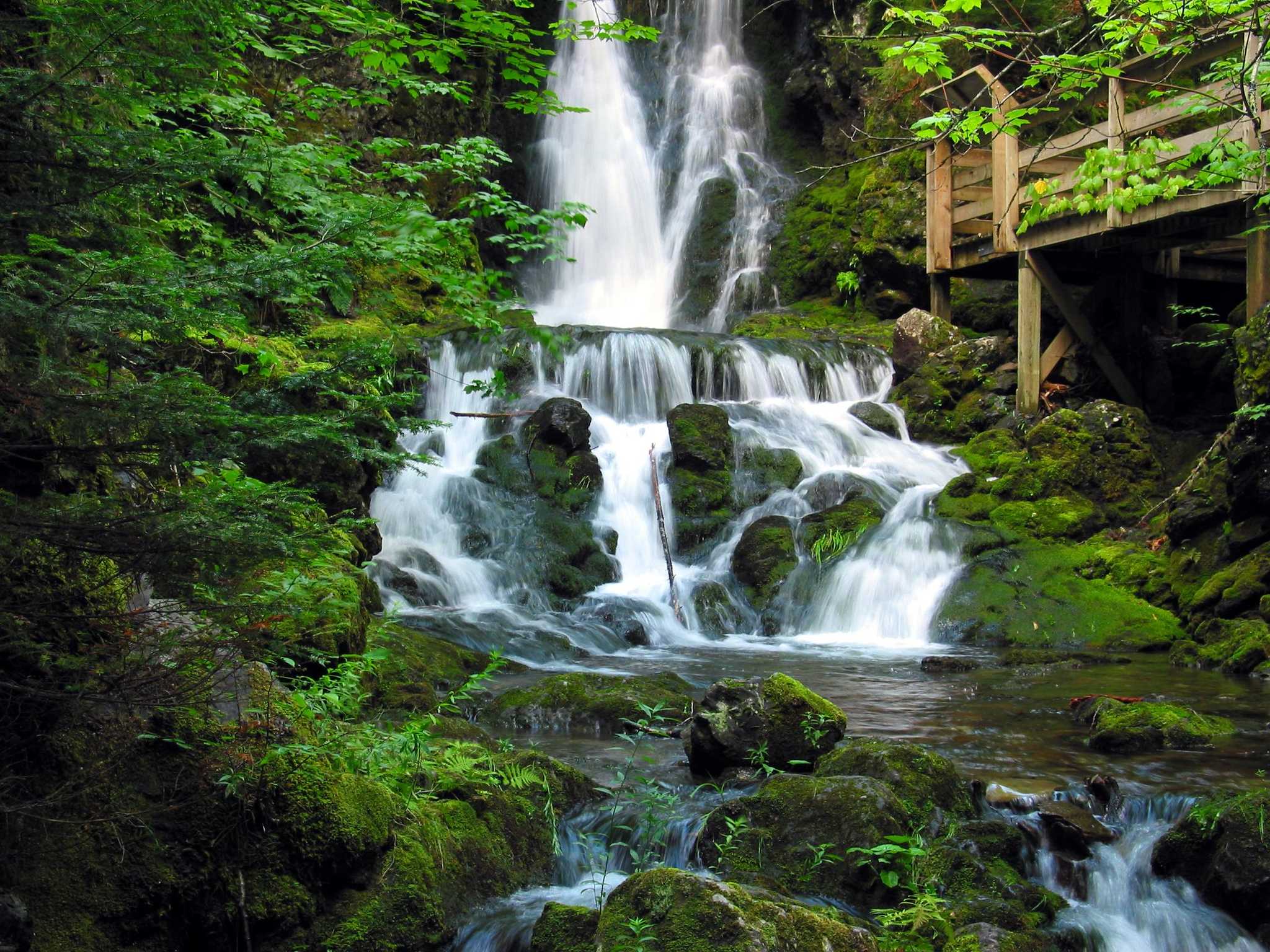 Visit Fundy National Park on the way from portland-me-us to oak-island-ns-ca with Daytrip