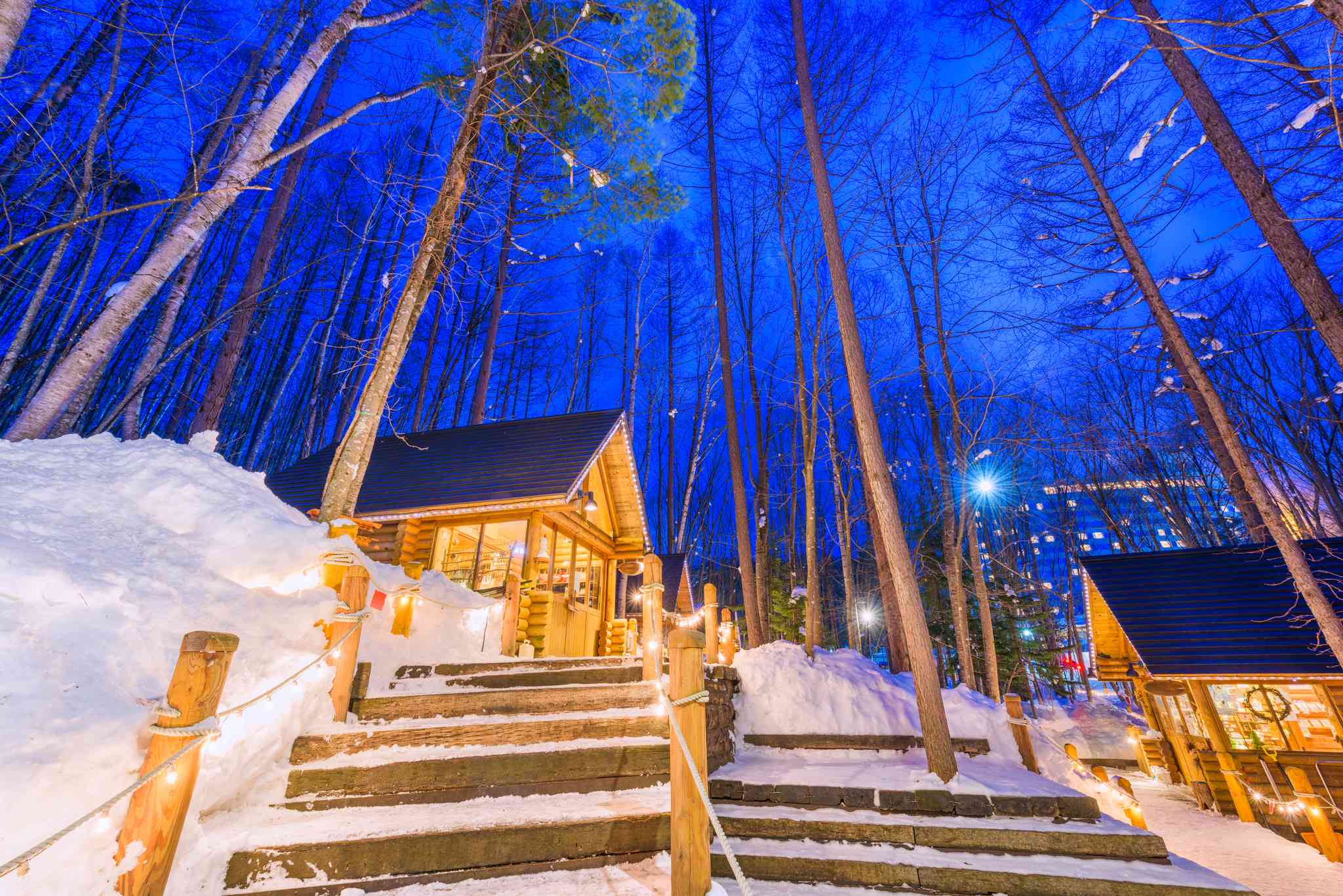 Scenic view of Furano - private day trip from Sapporo - photo 3