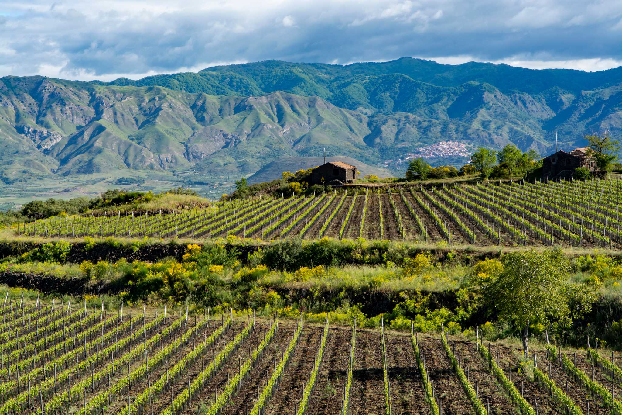 Itinerary stop at Gambino Vini on private day trip from Catania
