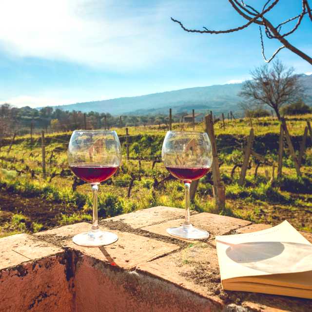 Excursão de um dia de Catania às vinícolas do Etna