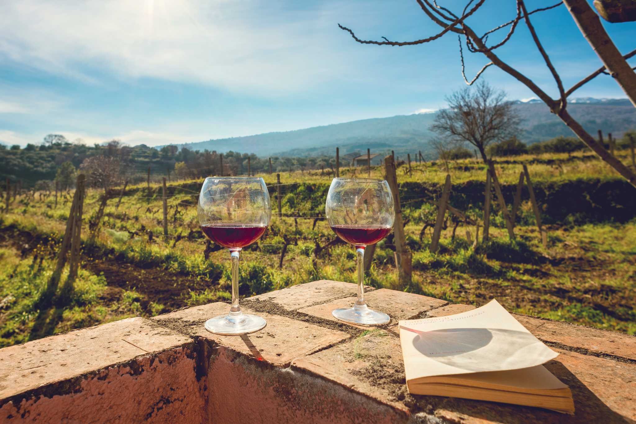 Itinerary stop at Gambino Vini on private day trip from Catania