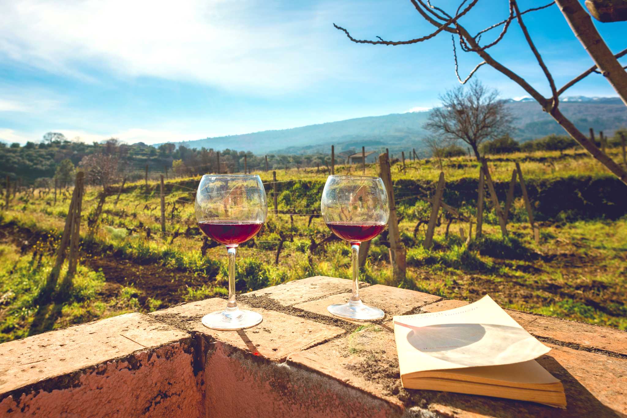 Private day trip option from Catania