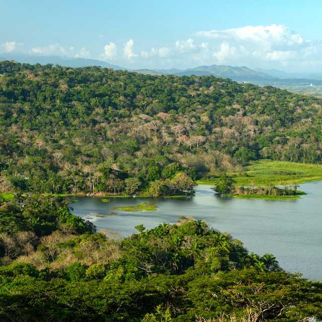 Panama City to Gamboa and Soberania National Park: Day trip